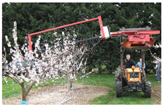 Agronomy 13 02753 i021