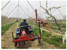 Agronomy 13 02753 i026