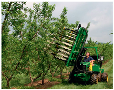 Agronomy 13 02753 i029