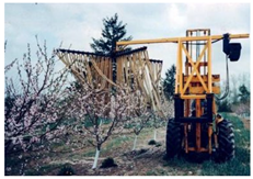 Agronomy 13 02753 i030