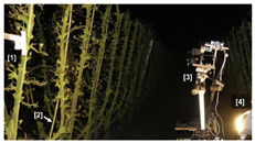 Agronomy 13 02753 i034