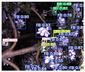 Agronomy 13 02753 i049