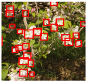 Agronomy 13 02753 i051