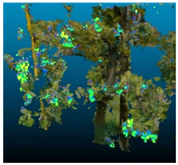 Agronomy 13 02753 i053