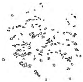 Agronomy 13 02753 i054