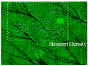 Agronomy 13 02753 i064