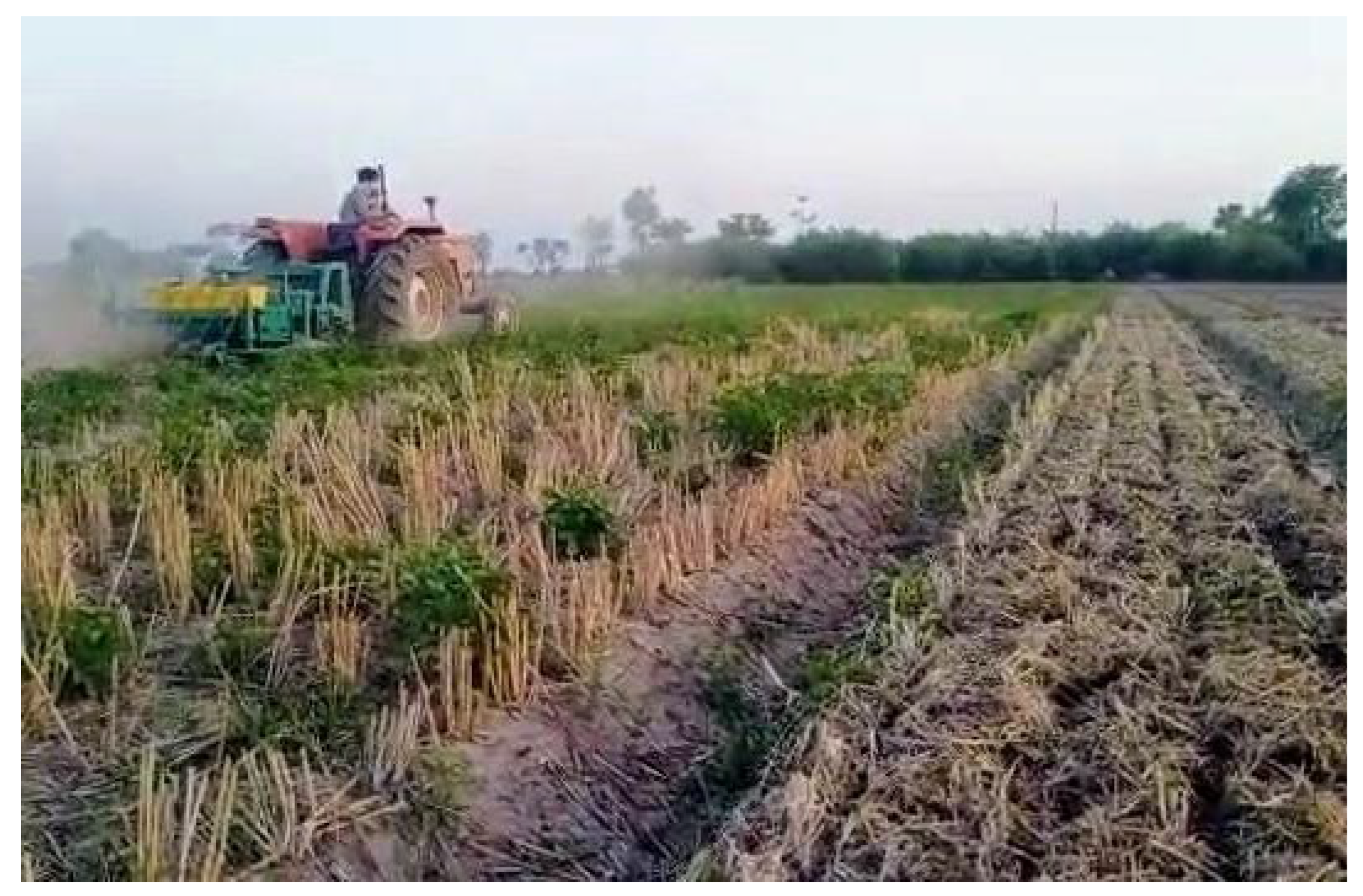 Agronomy 13 02758 g001