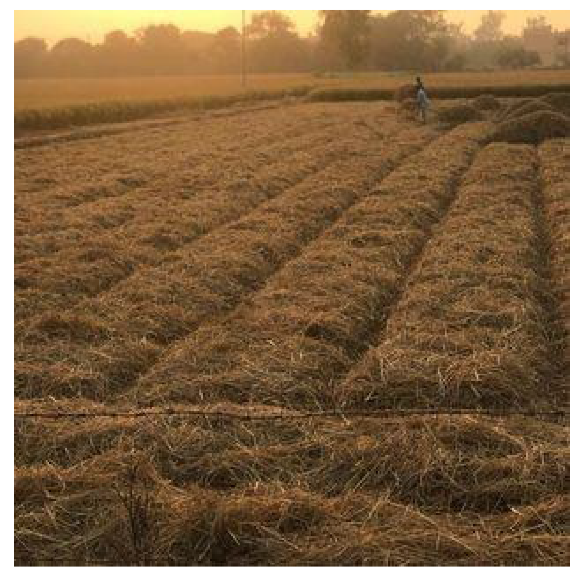 Agronomy 13 02758 g002