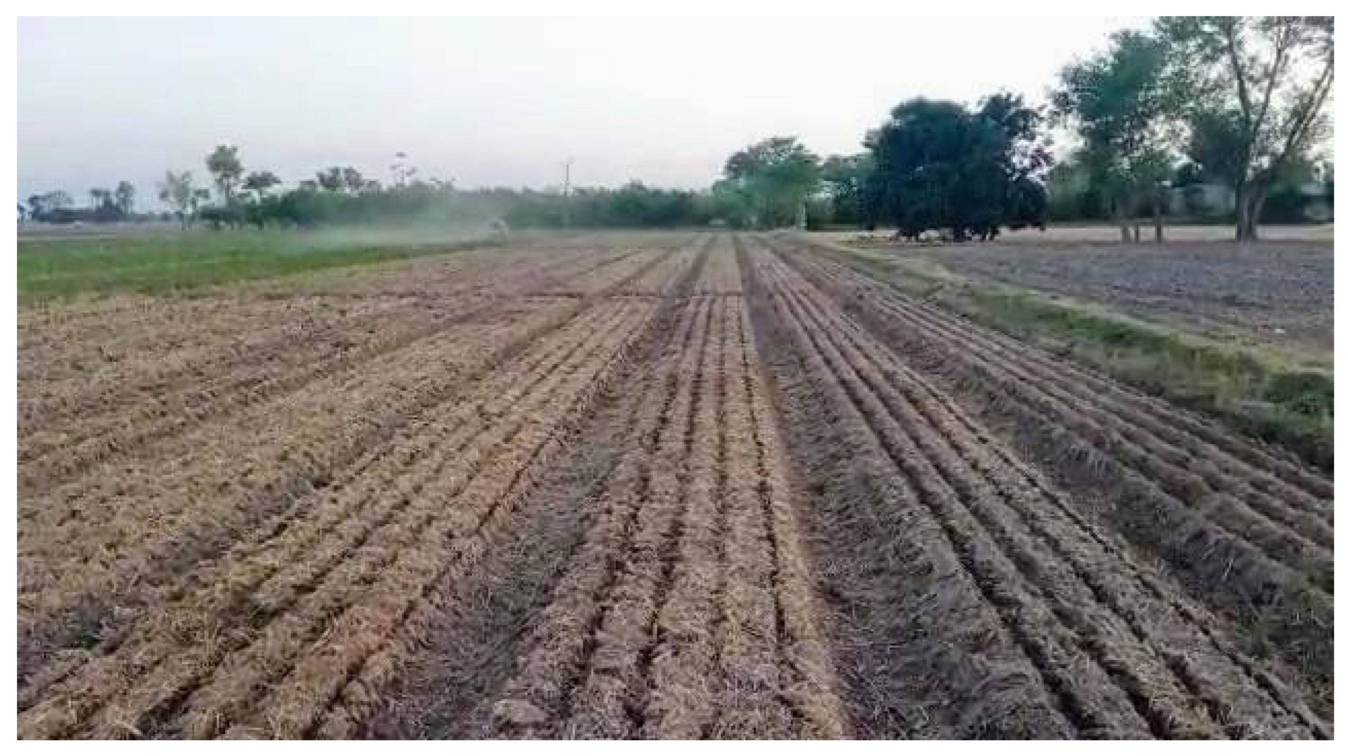 Agronomy 13 02758 g003