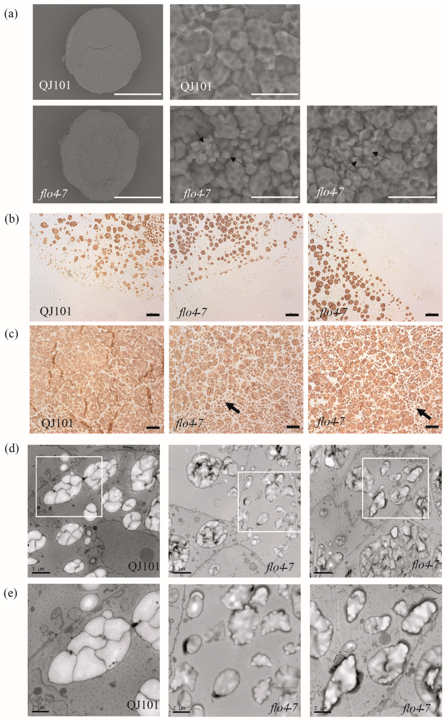Agronomy 13 02759 g003