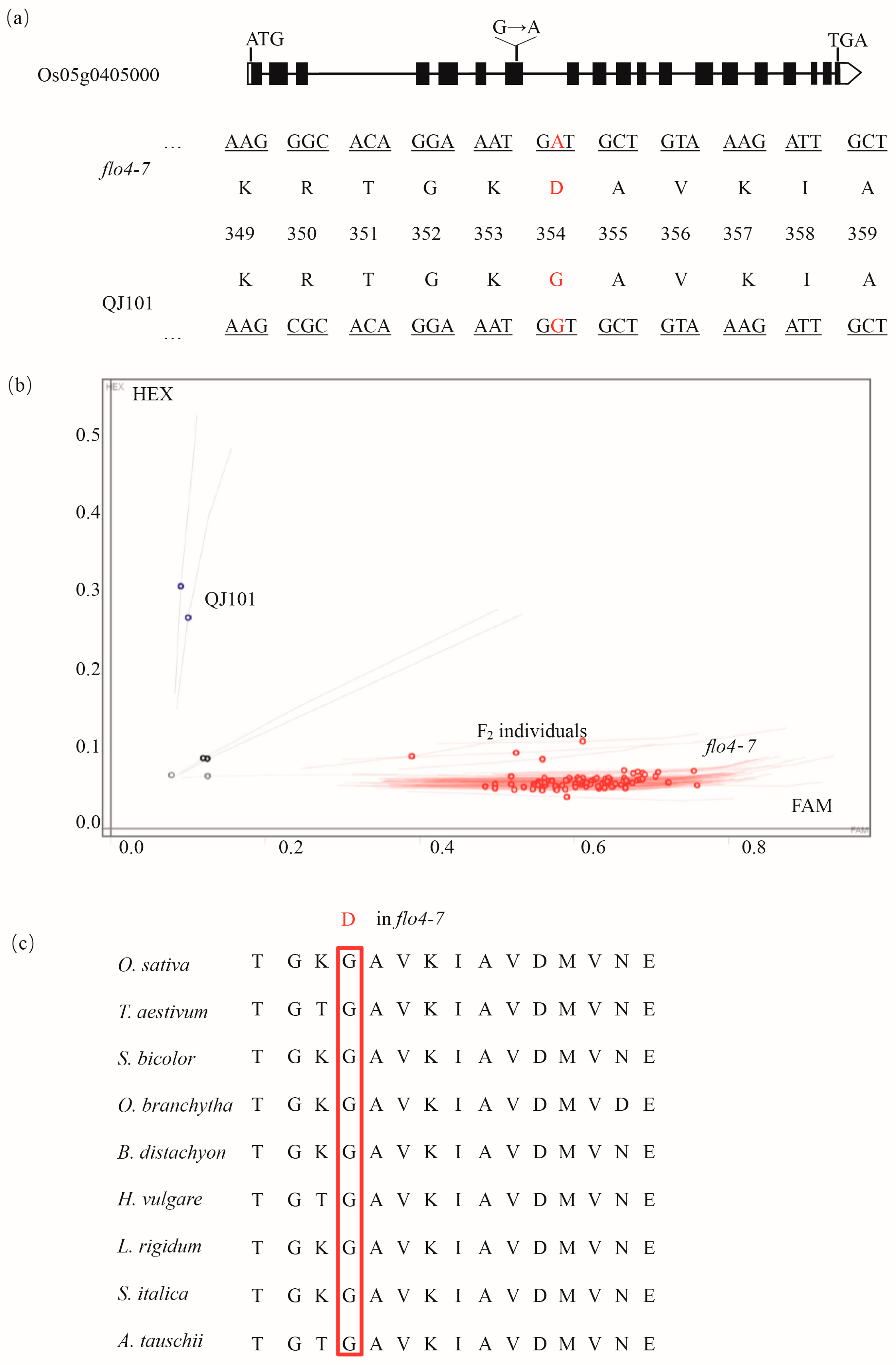 Agronomy 13 02759 g005