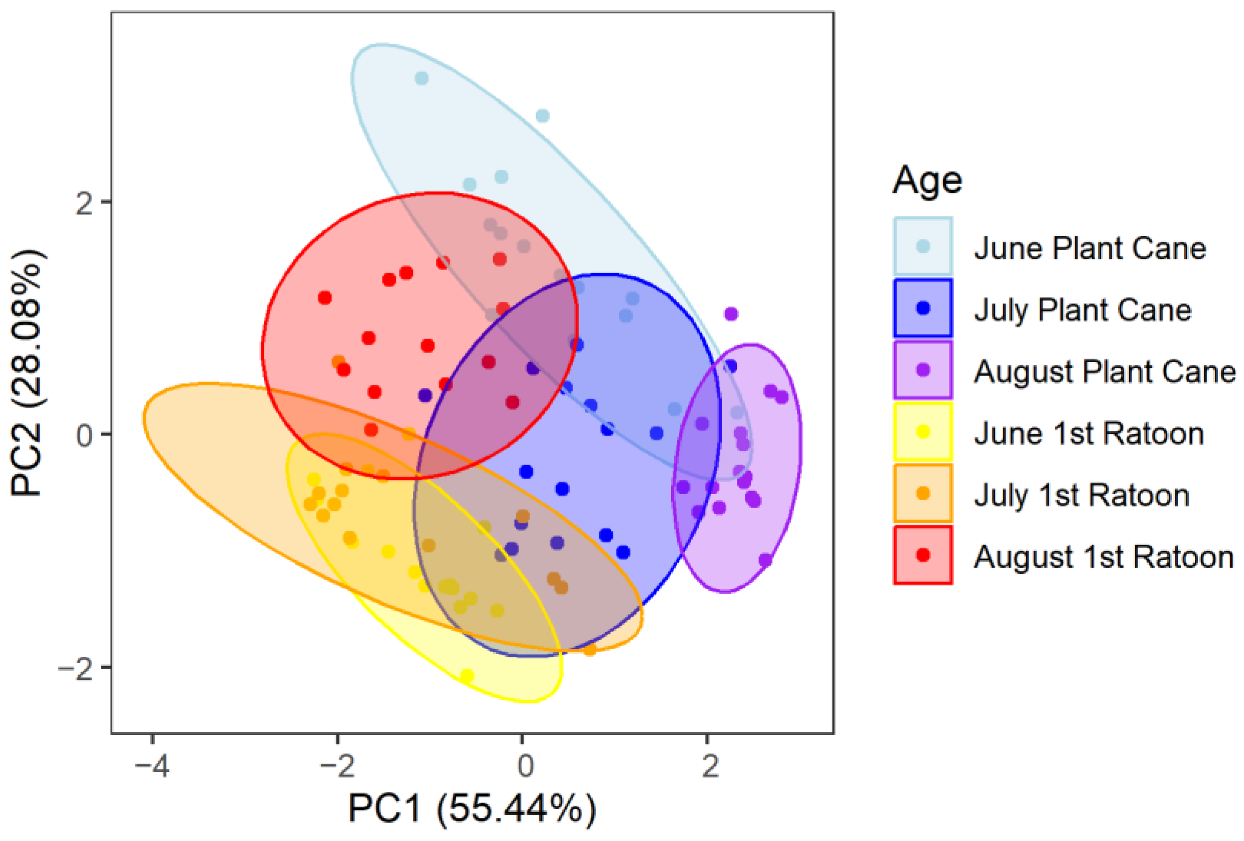 Agronomy 13 02764 g005