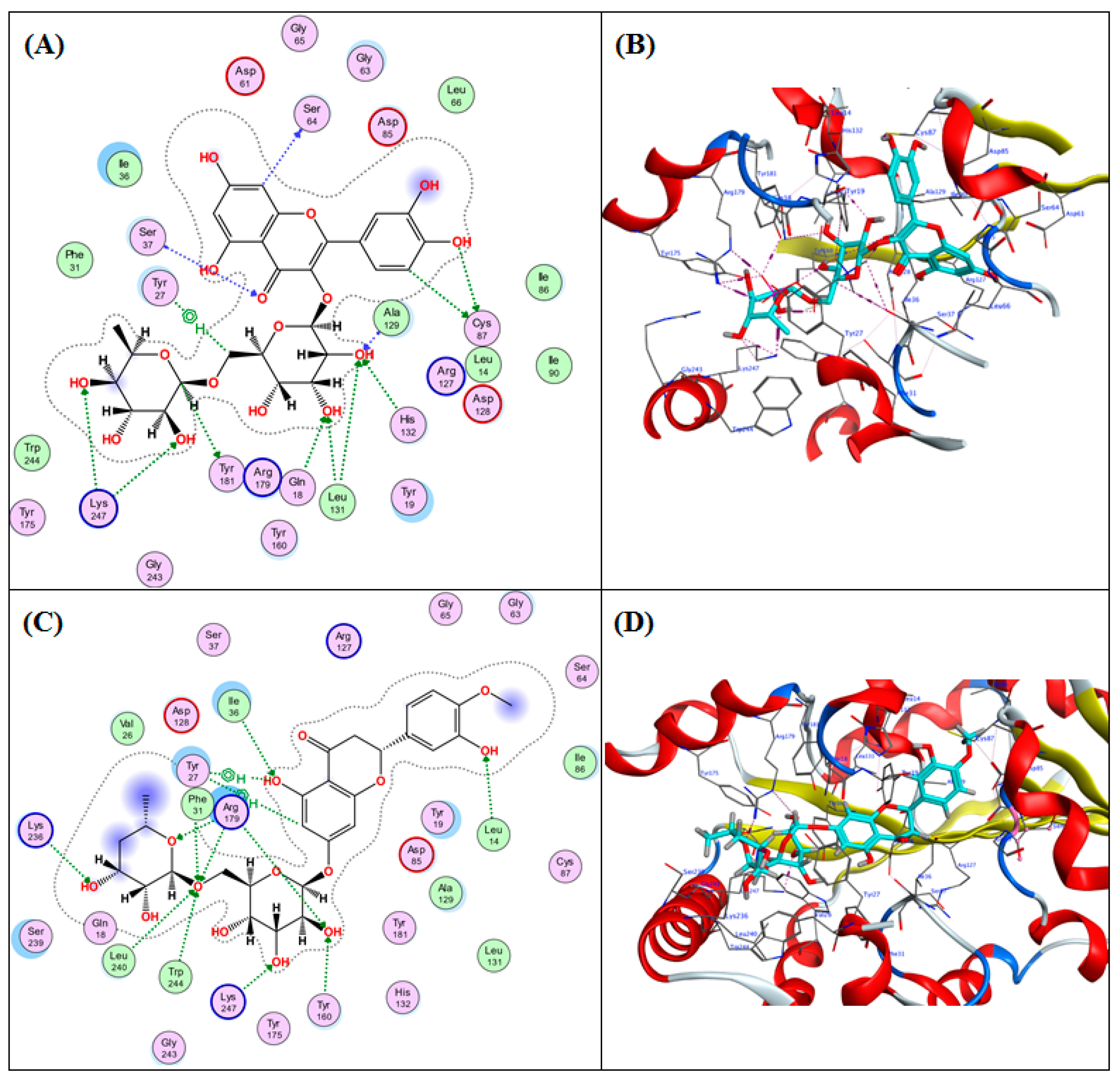 Agronomy 13 02765 g004