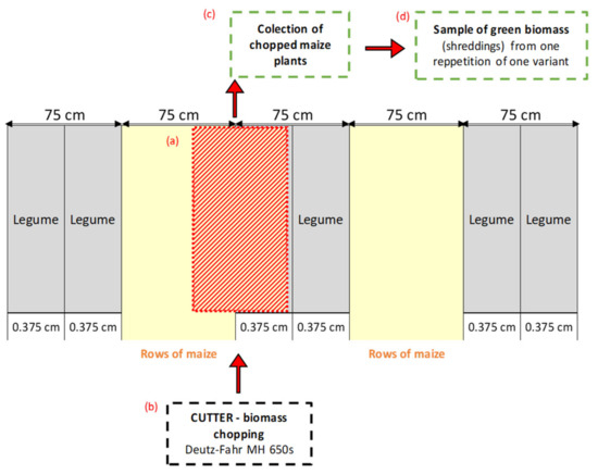 Agronomy 13 02775 g0a1