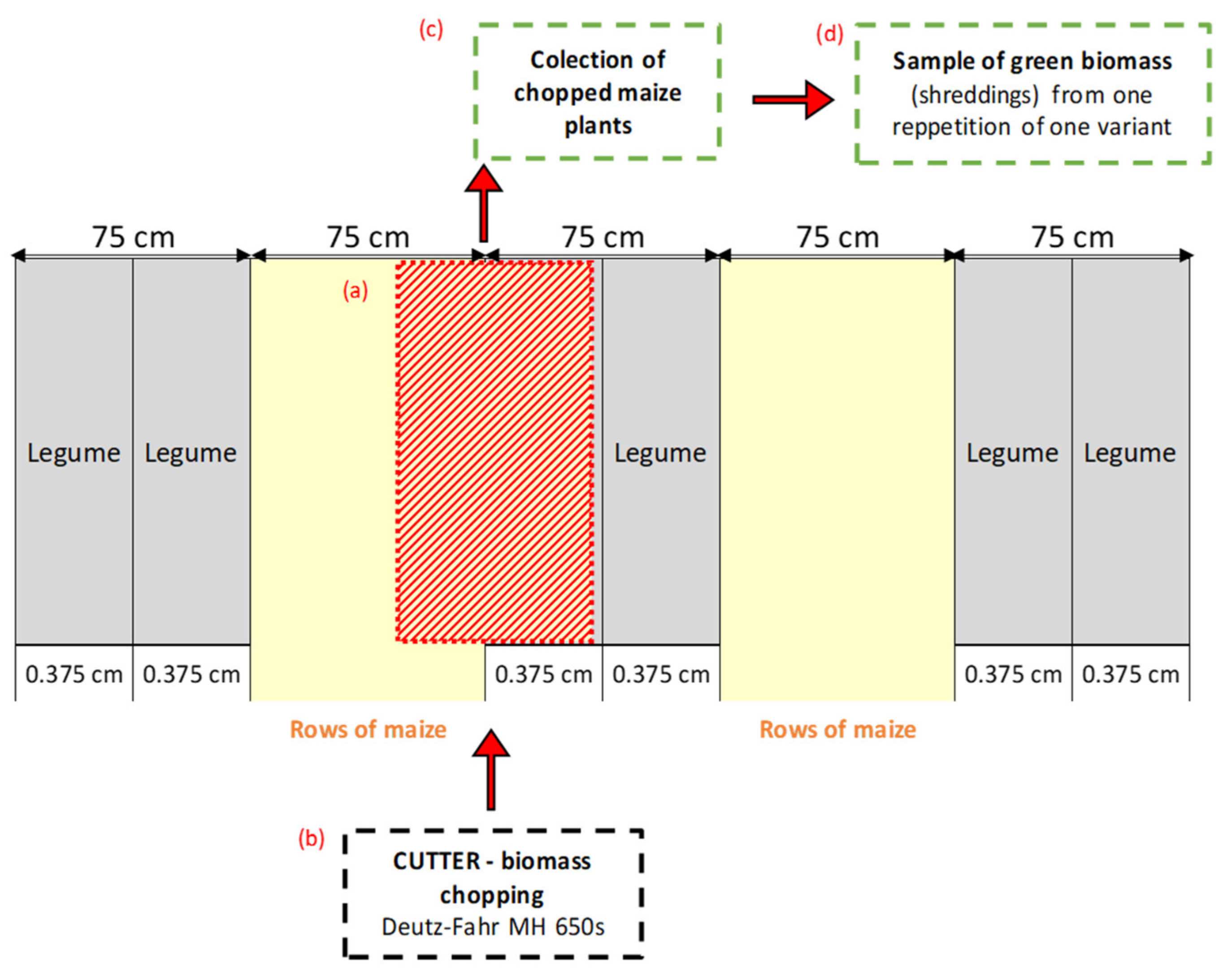Agronomy 13 02775 g0a1