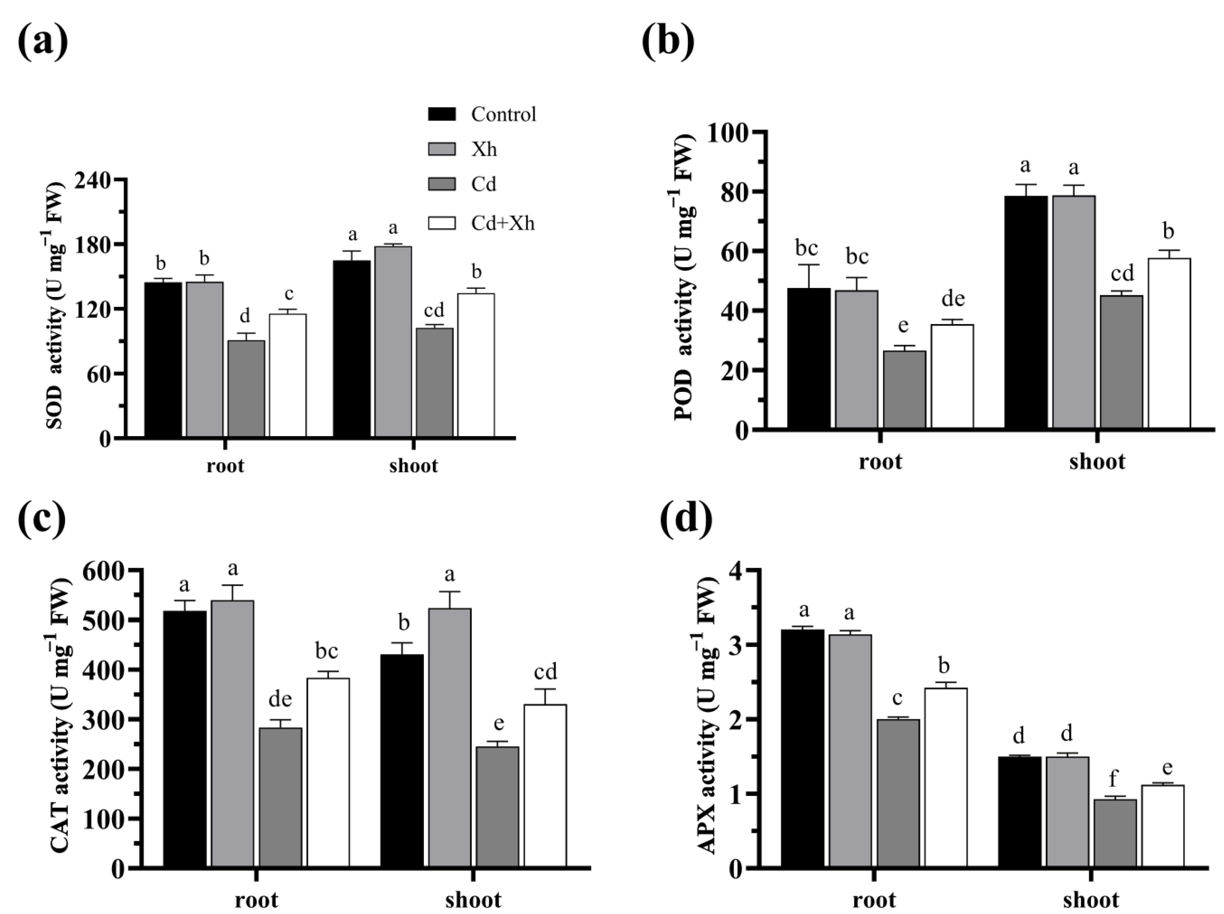 Agronomy 13 02786 g004 Agronomy 13 02786 g004