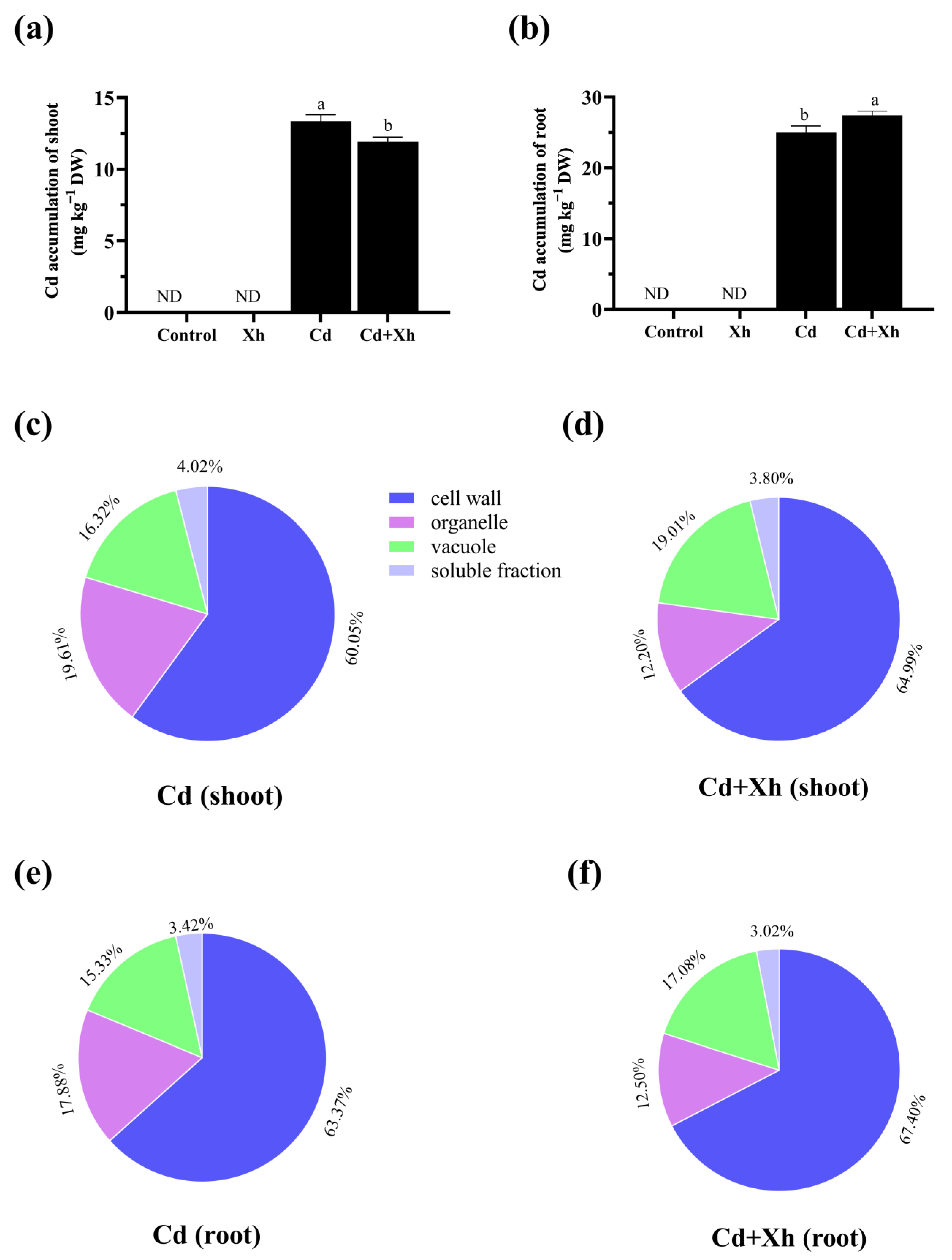 Agronomy 13 02786 g005 Agronomy 13 02786 g005