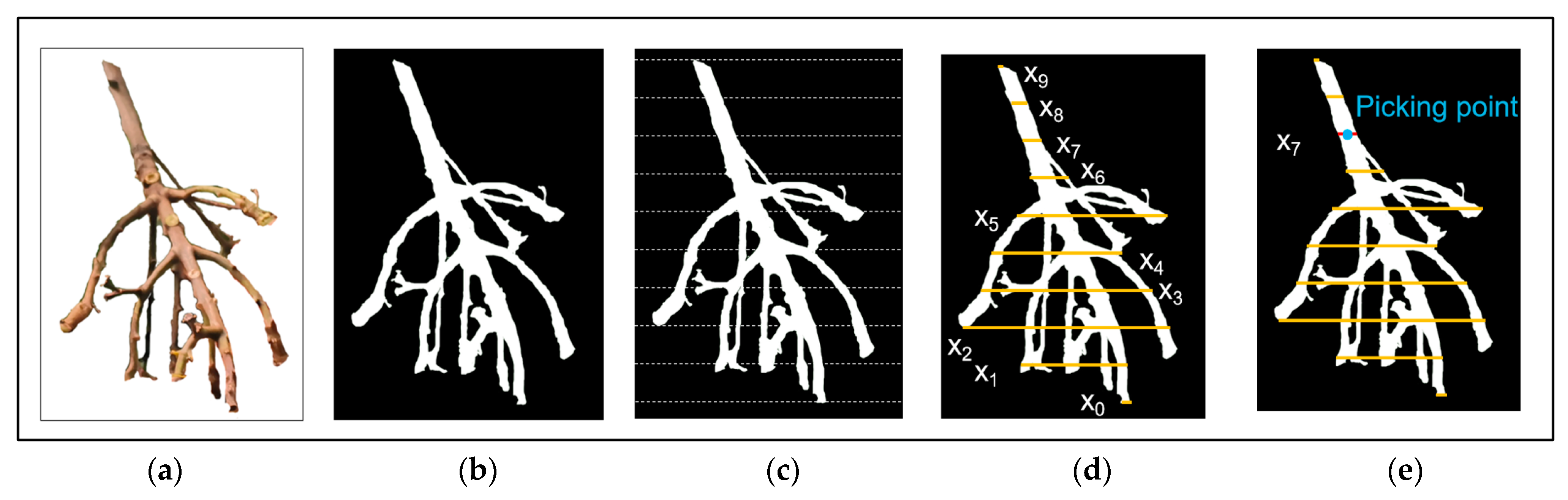 Agronomy 13 02795 g005