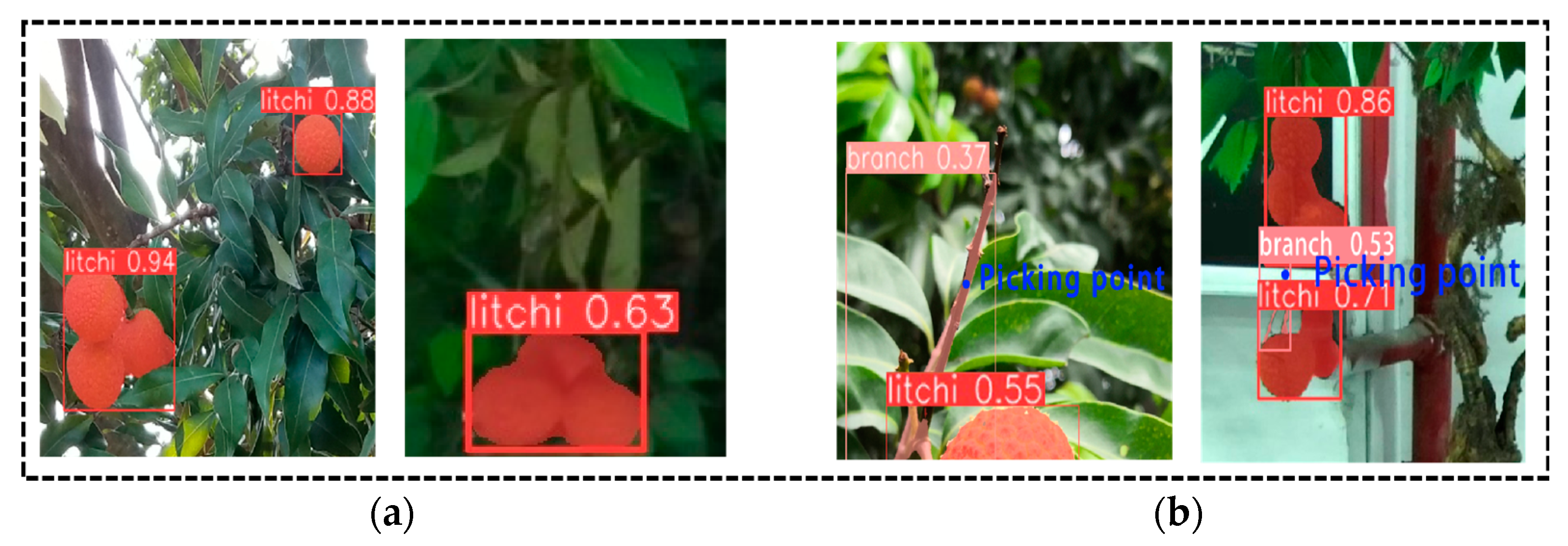 Agronomy 13 02795 g014