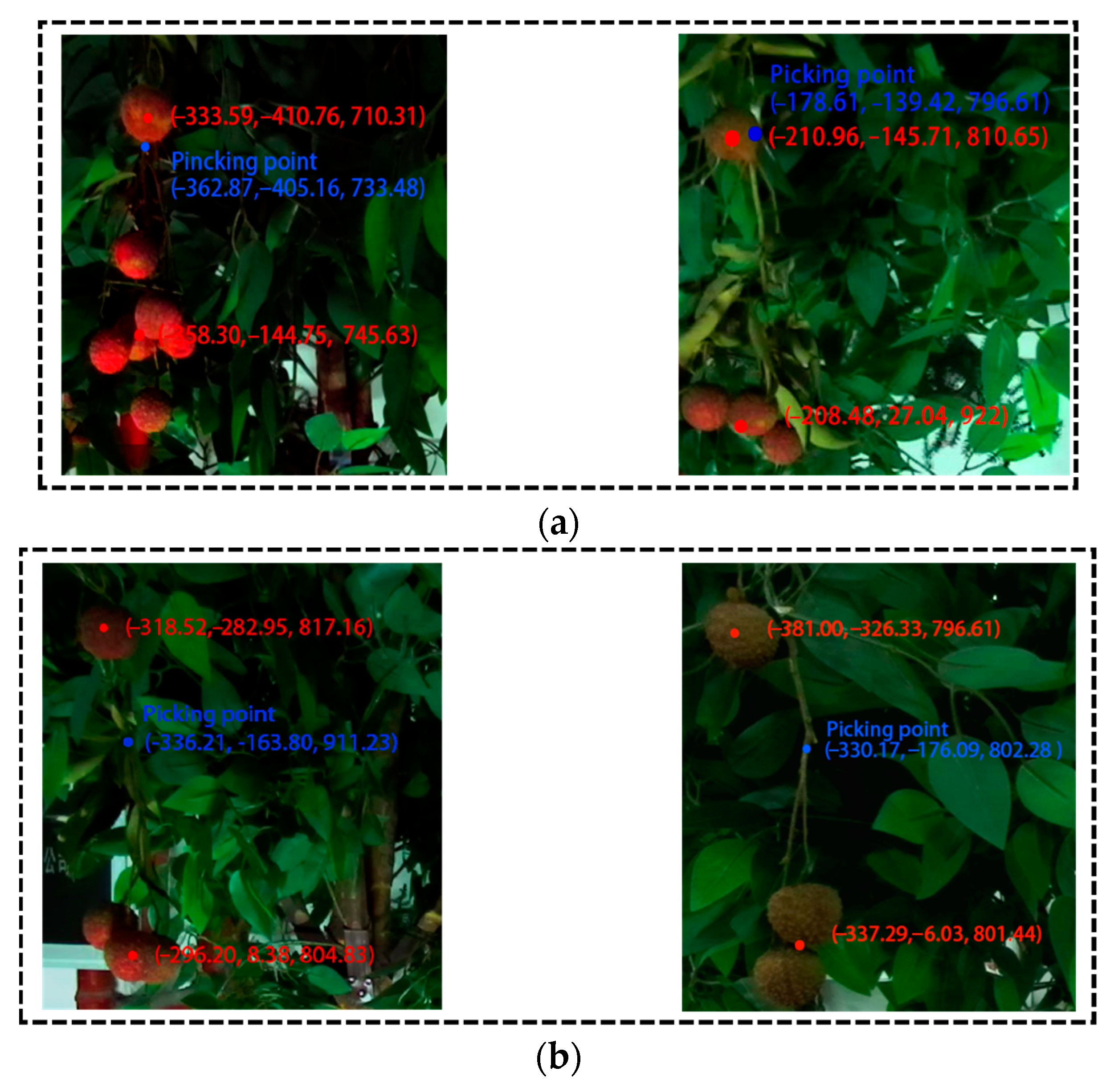 Agronomy 13 02795 g015