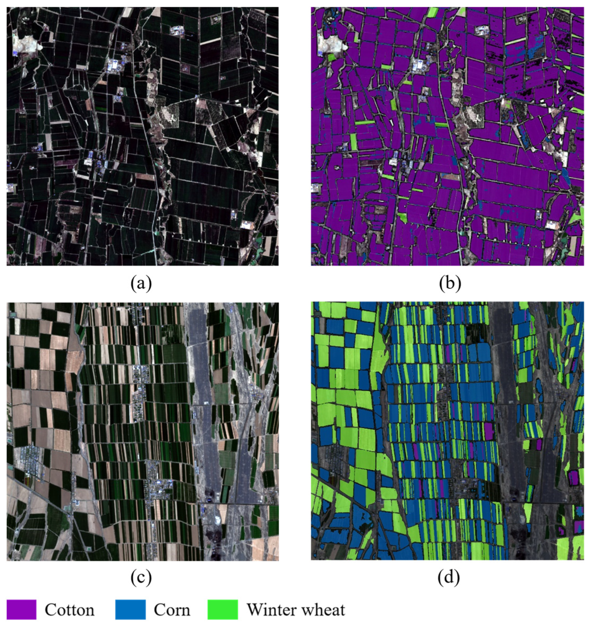 Agronomy 13 02800 g012
