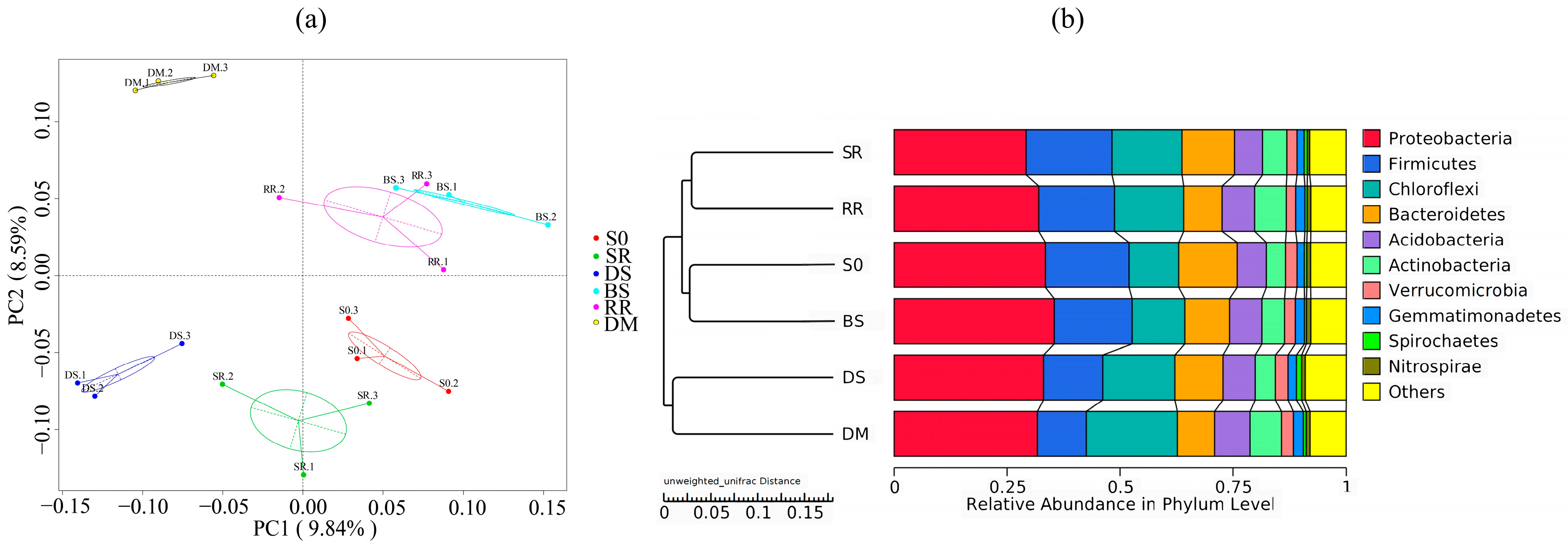 Agronomy 13 02805 g005