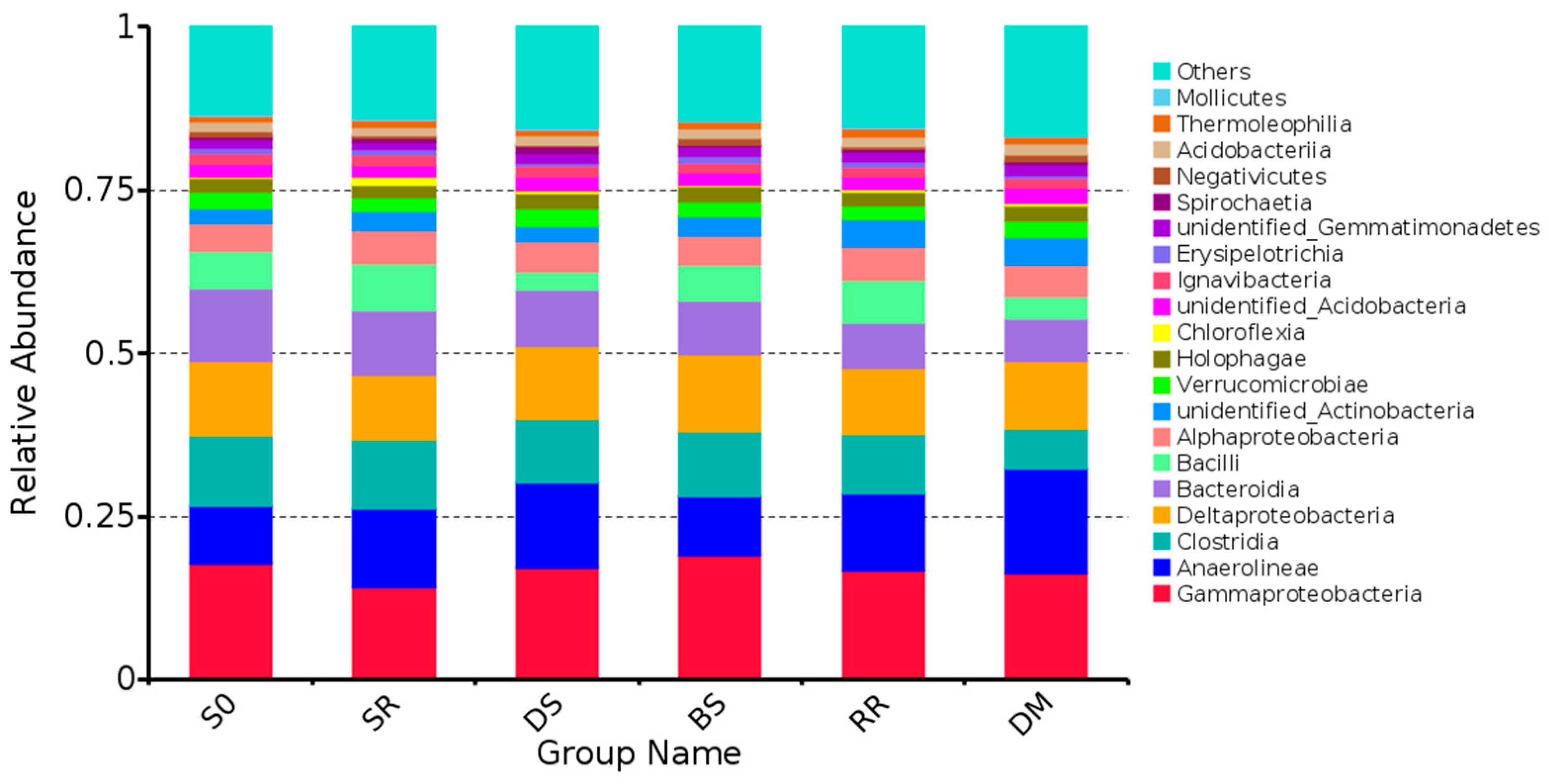 Agronomy 13 02805 g007