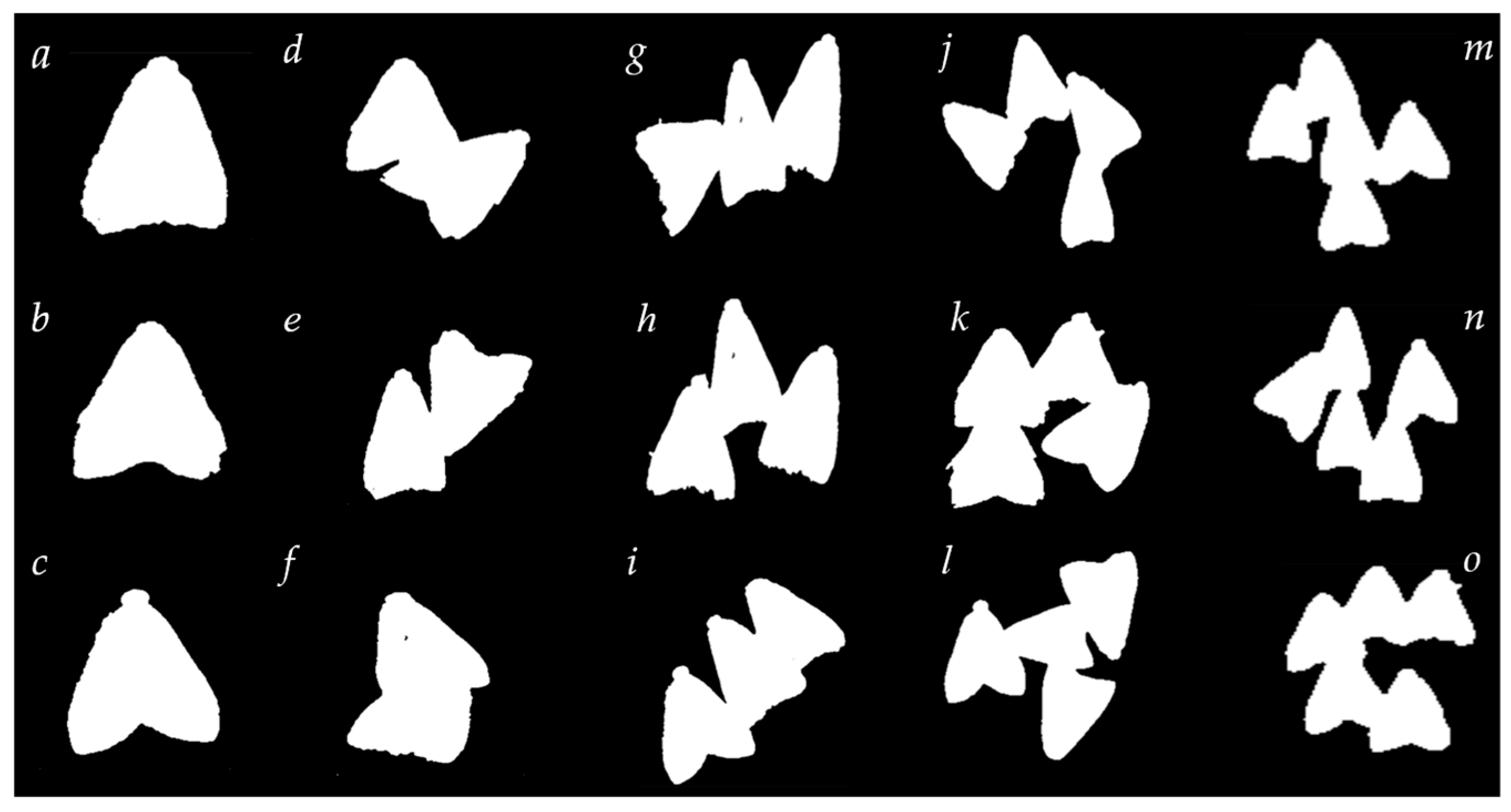 Agronomy 13 02806 g008