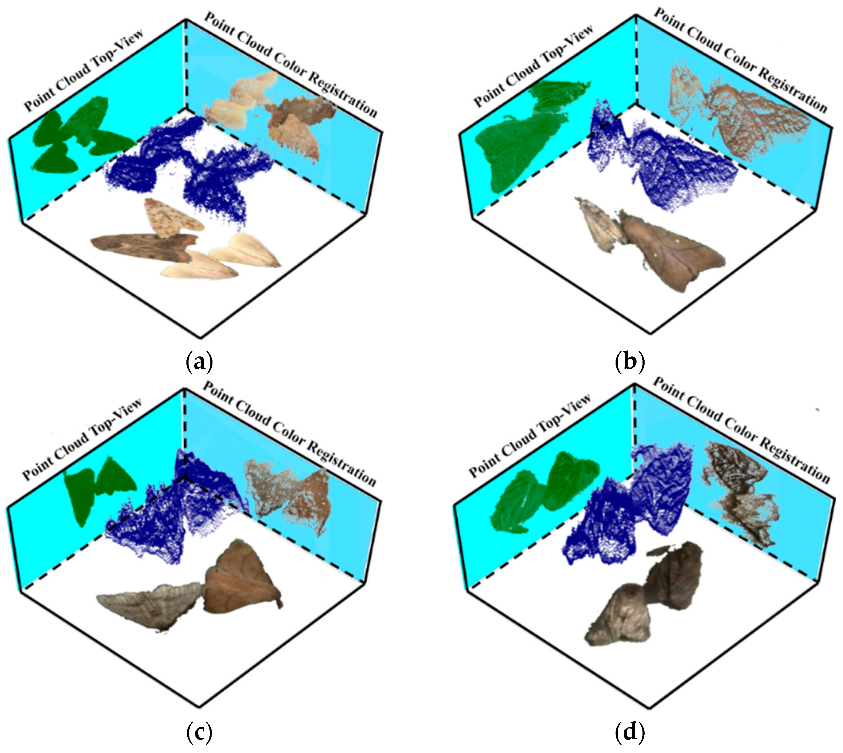 Agronomy 13 02806 g011