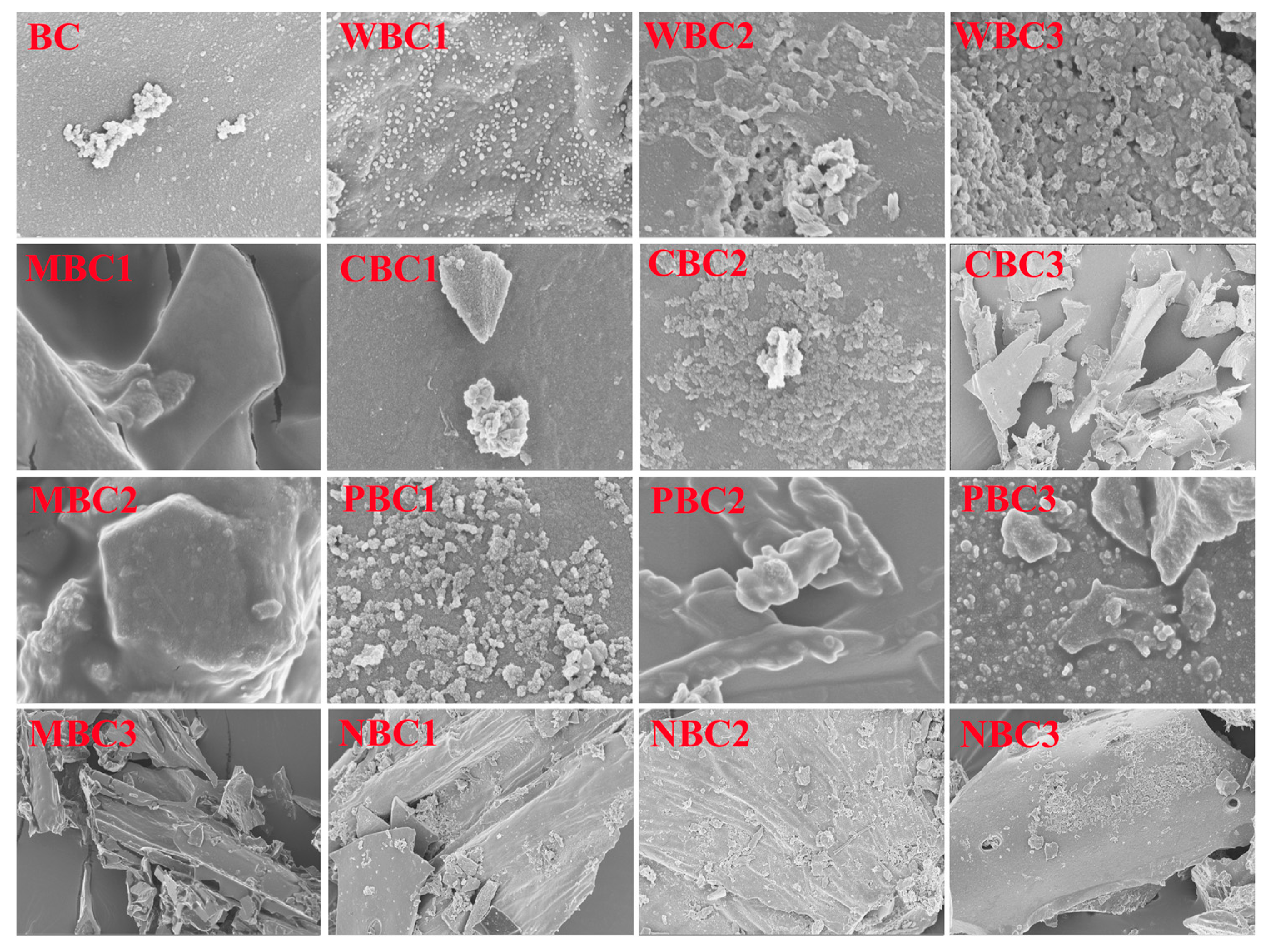 Agronomy 13 02807 g002