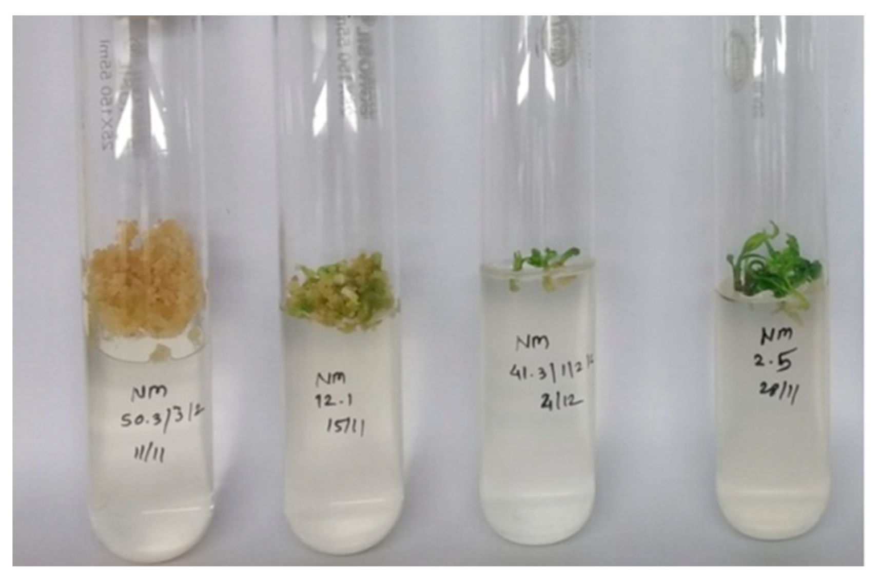 Agronomy 13 02814 g006