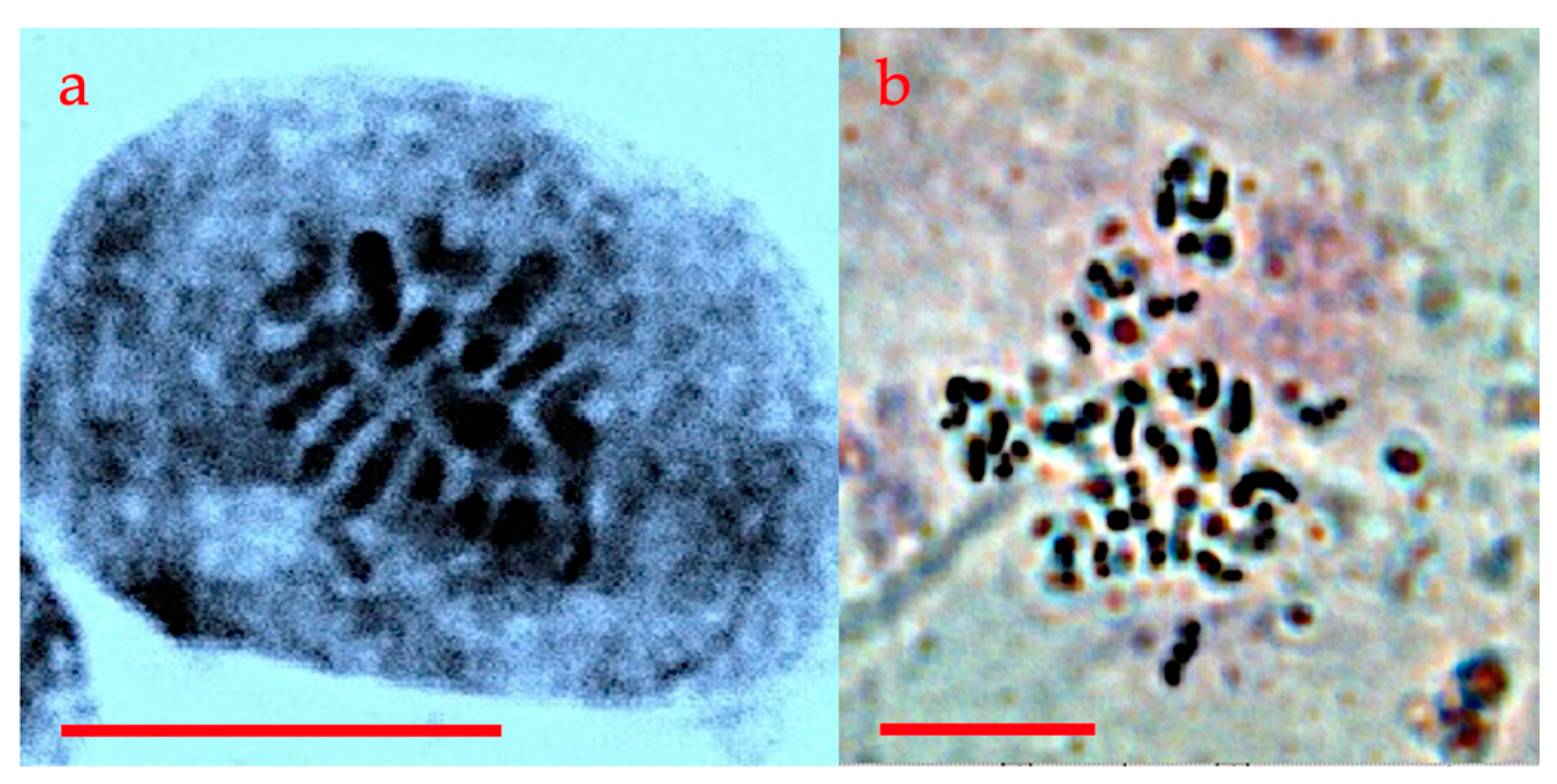 Agronomy 13 02814 g010