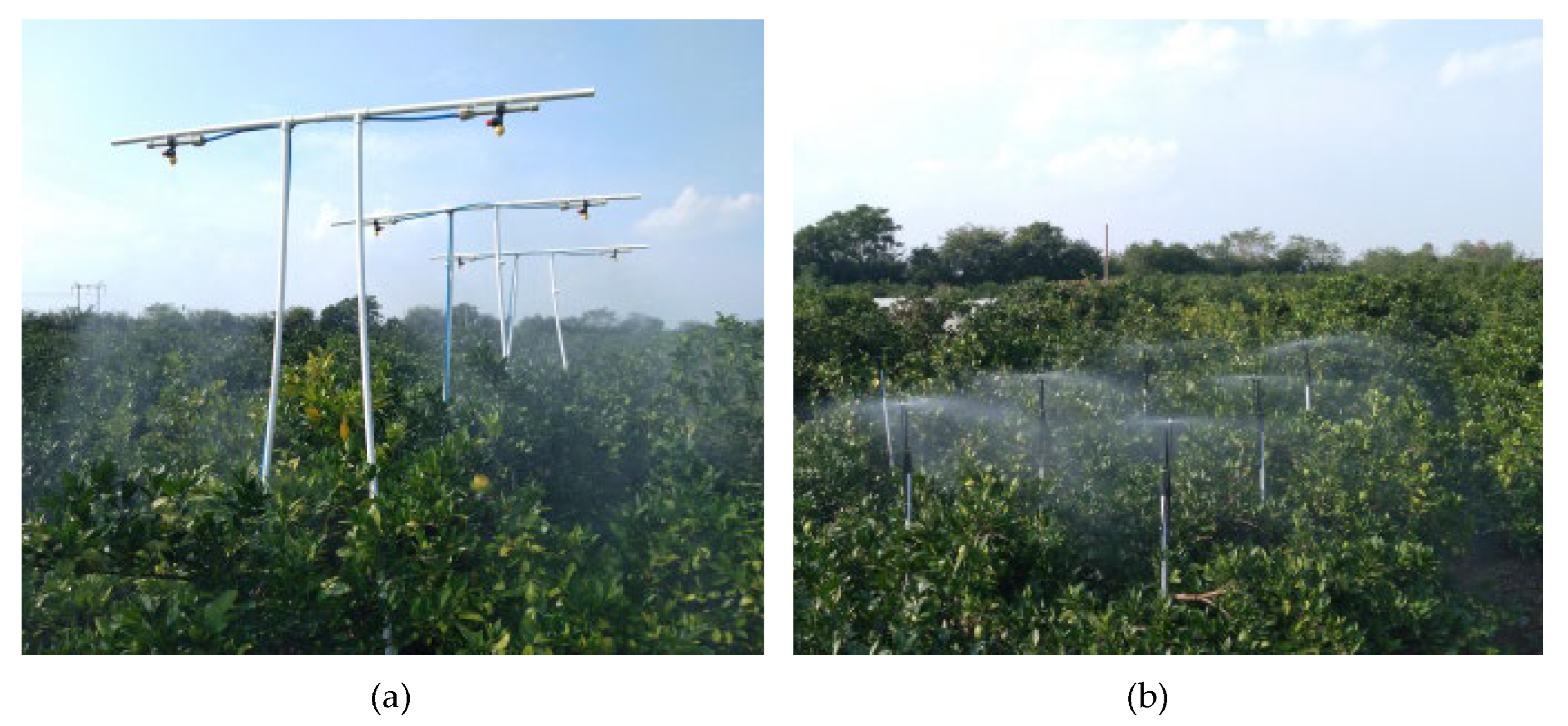 Agronomy 13 02828 g003 Agronomy 13 02828 g003