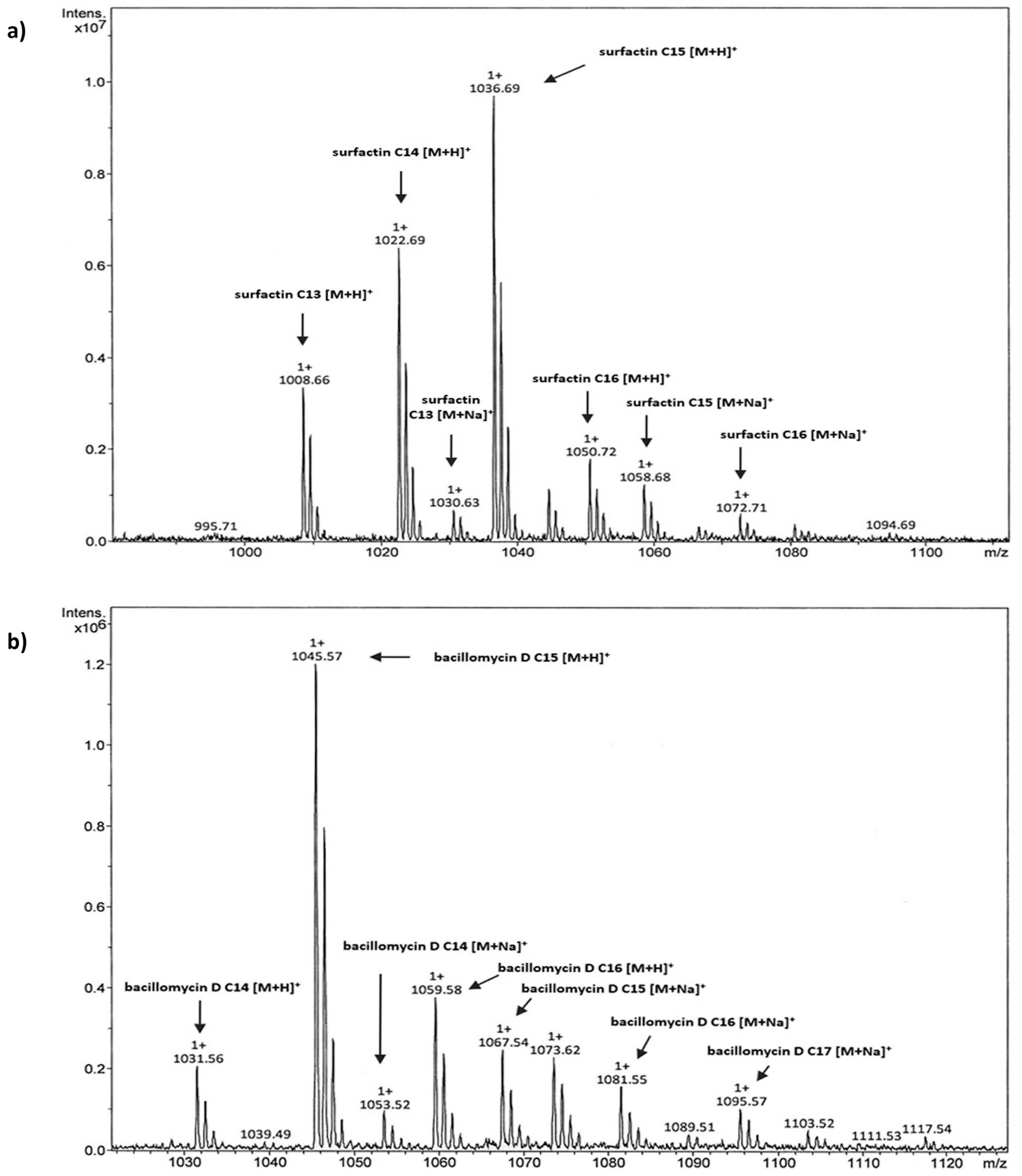 Agronomy 13 02839 g005