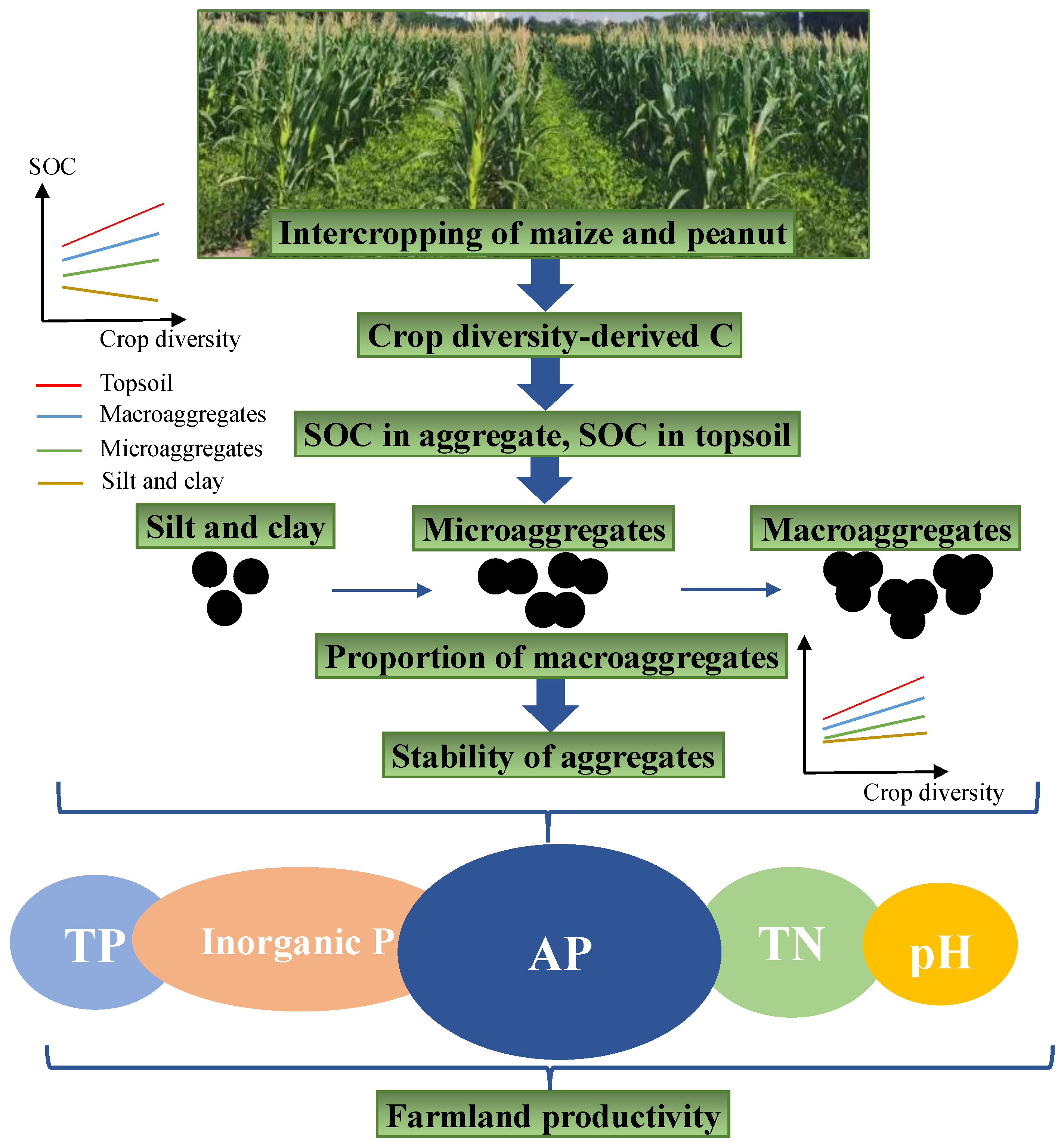 Agronomy 13 02846 g001 Agronomy 13 02846 g001