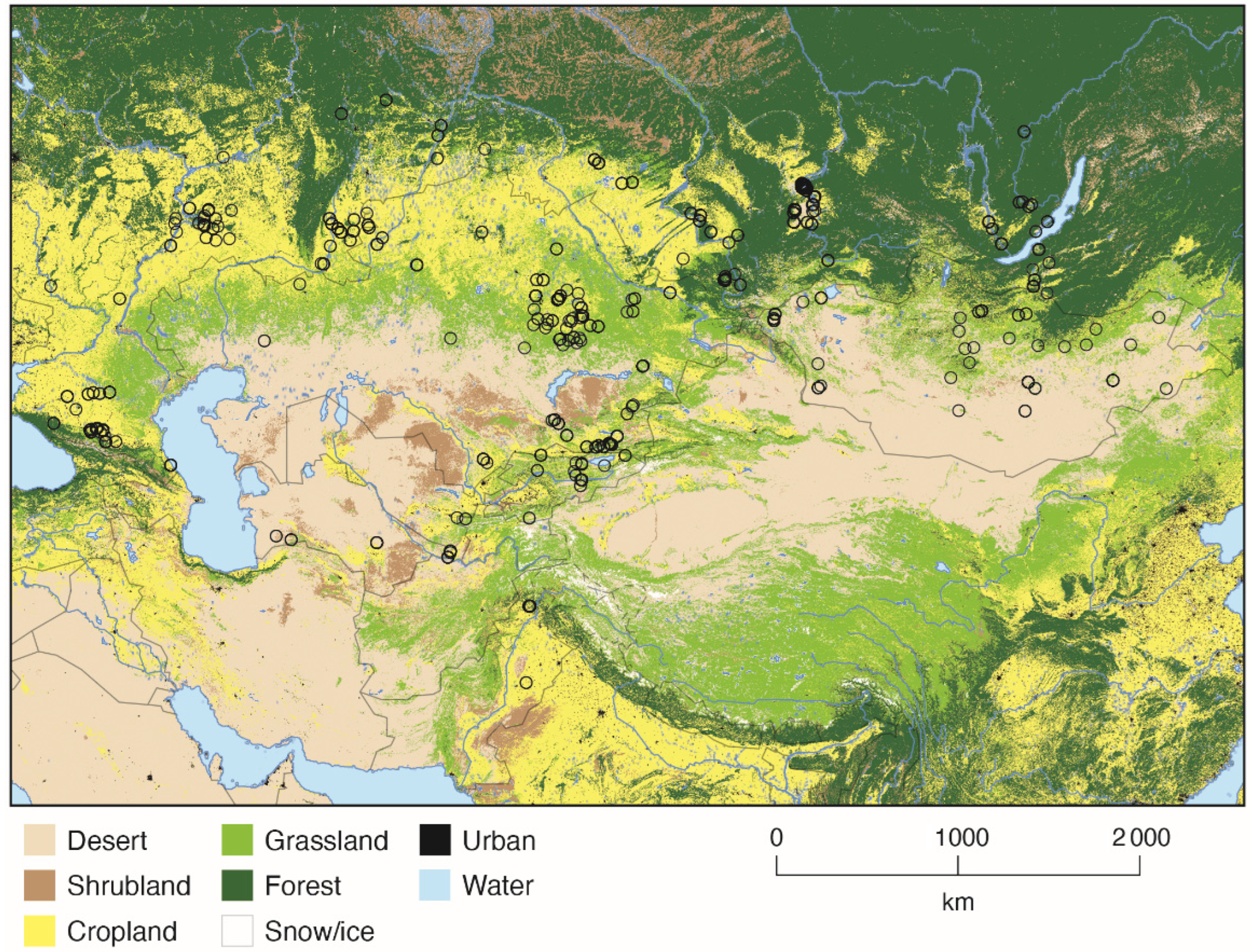 Agronomy 13 02848 g001