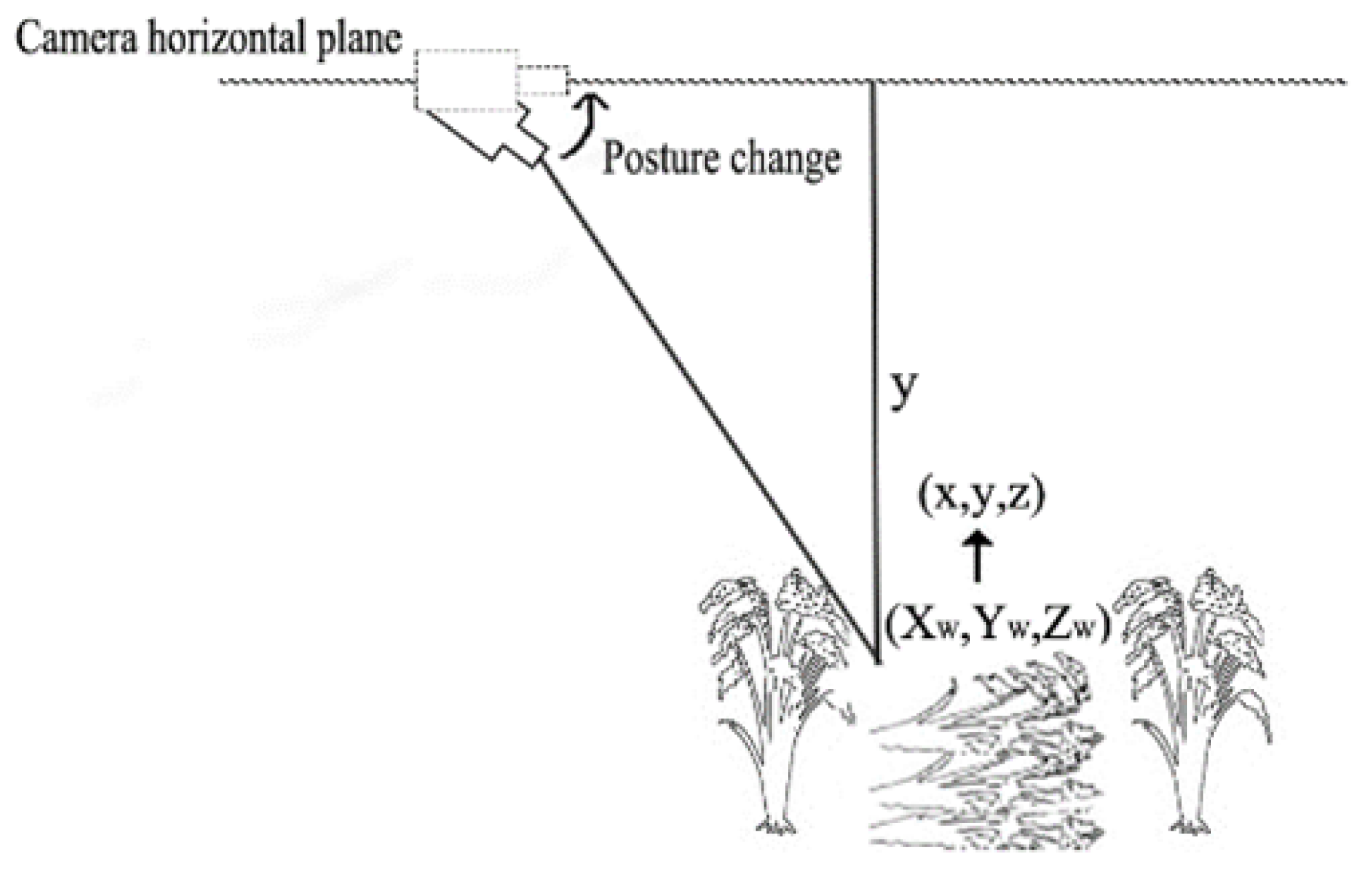 Agronomy 13 02852 g002 Agronomy 13 02852 g002
