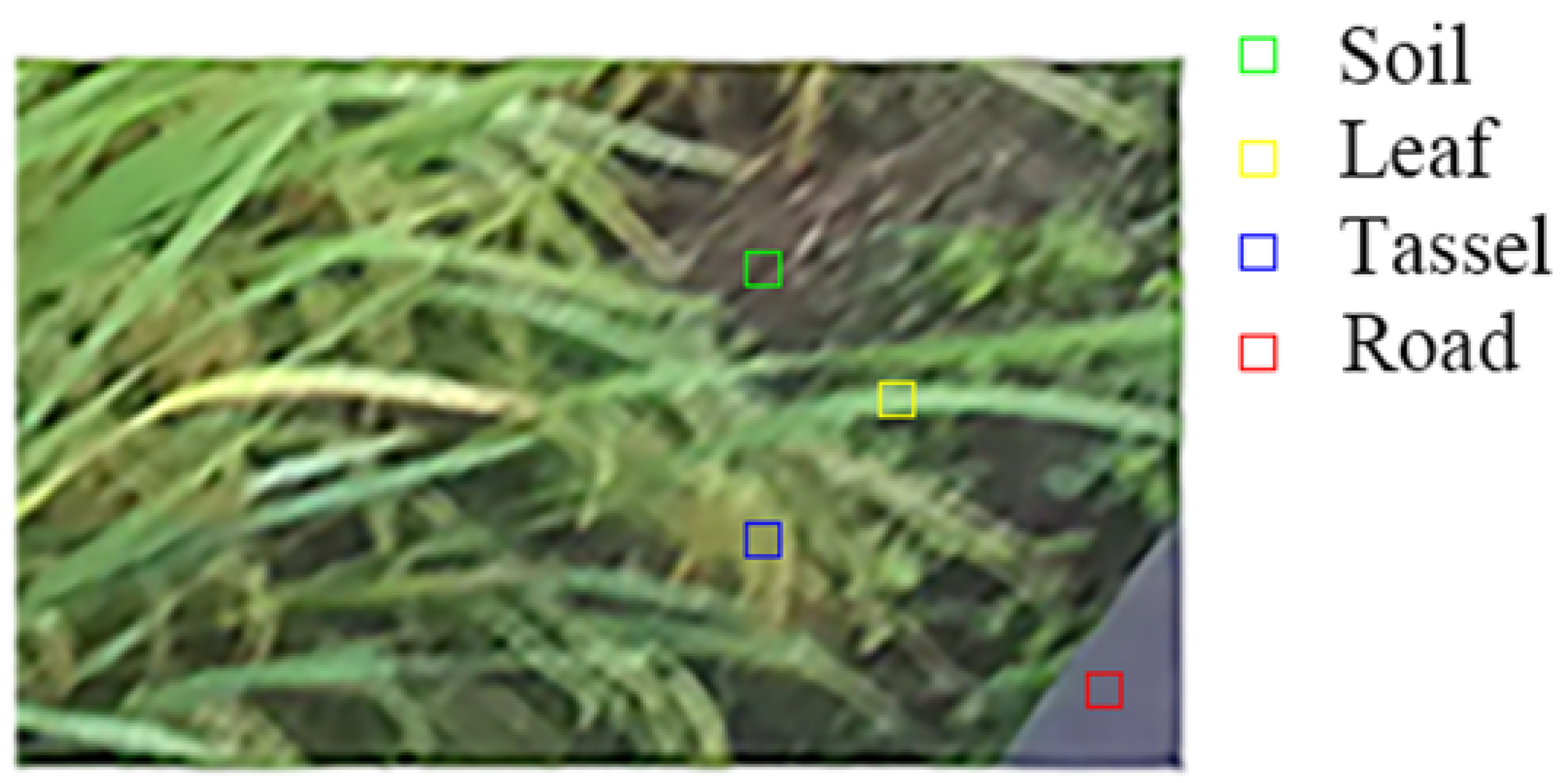 Agronomy 13 02852 g004 Agronomy 13 02852 g004