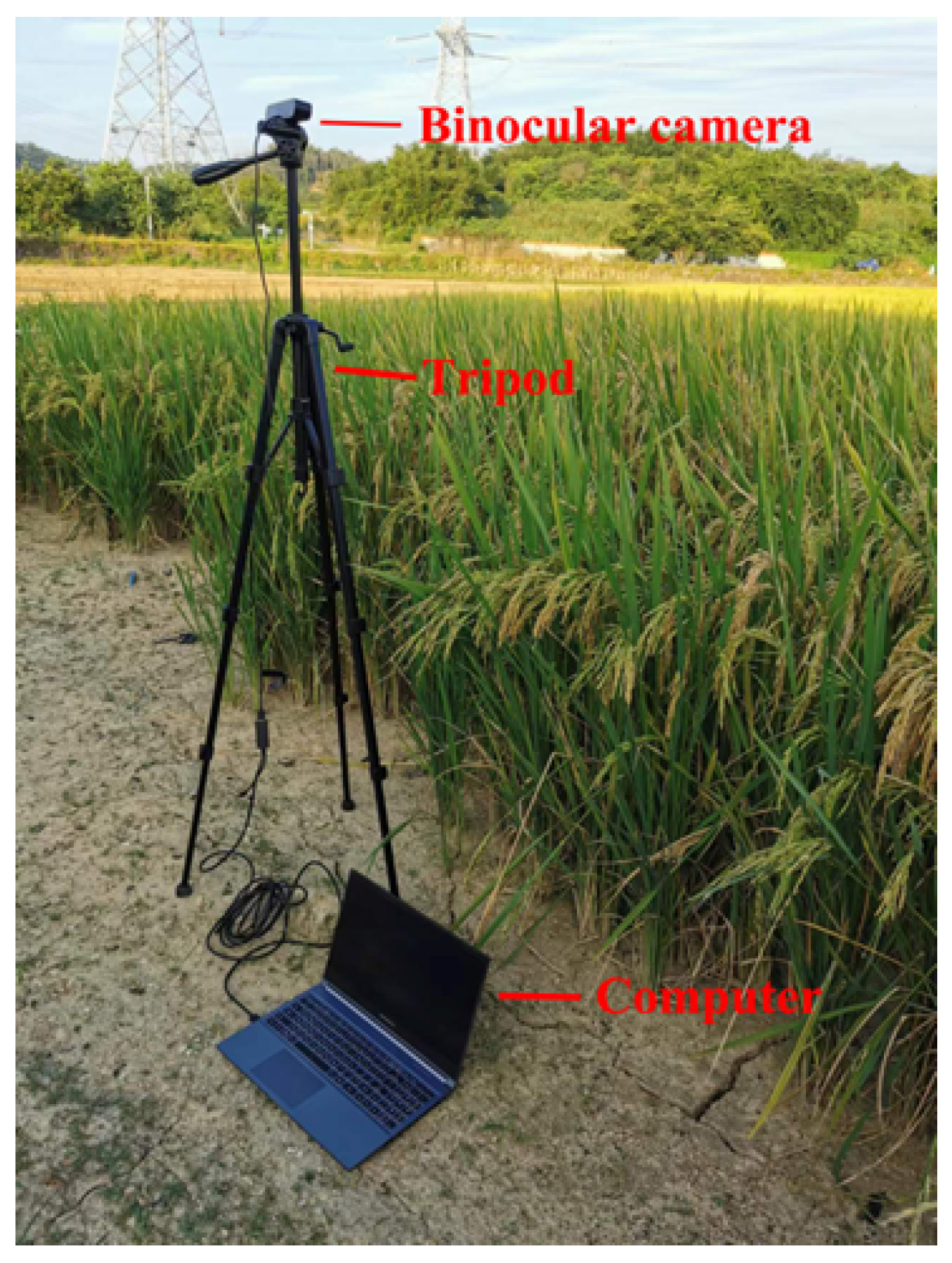 Agronomy 13 02852 g009 Agronomy 13 02852 g009
