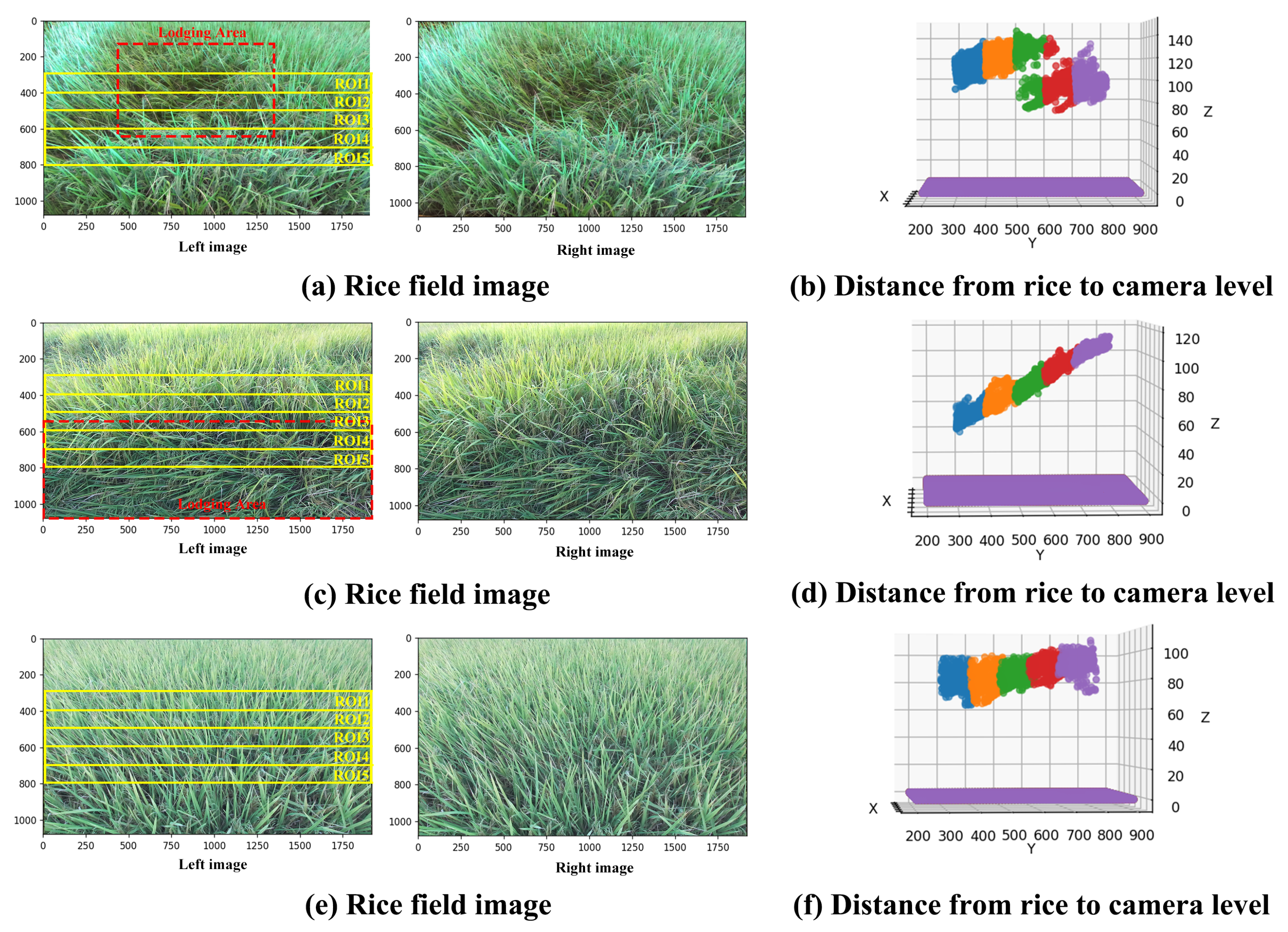 Agronomy 13 02852 g010 Agronomy 13 02852 g010