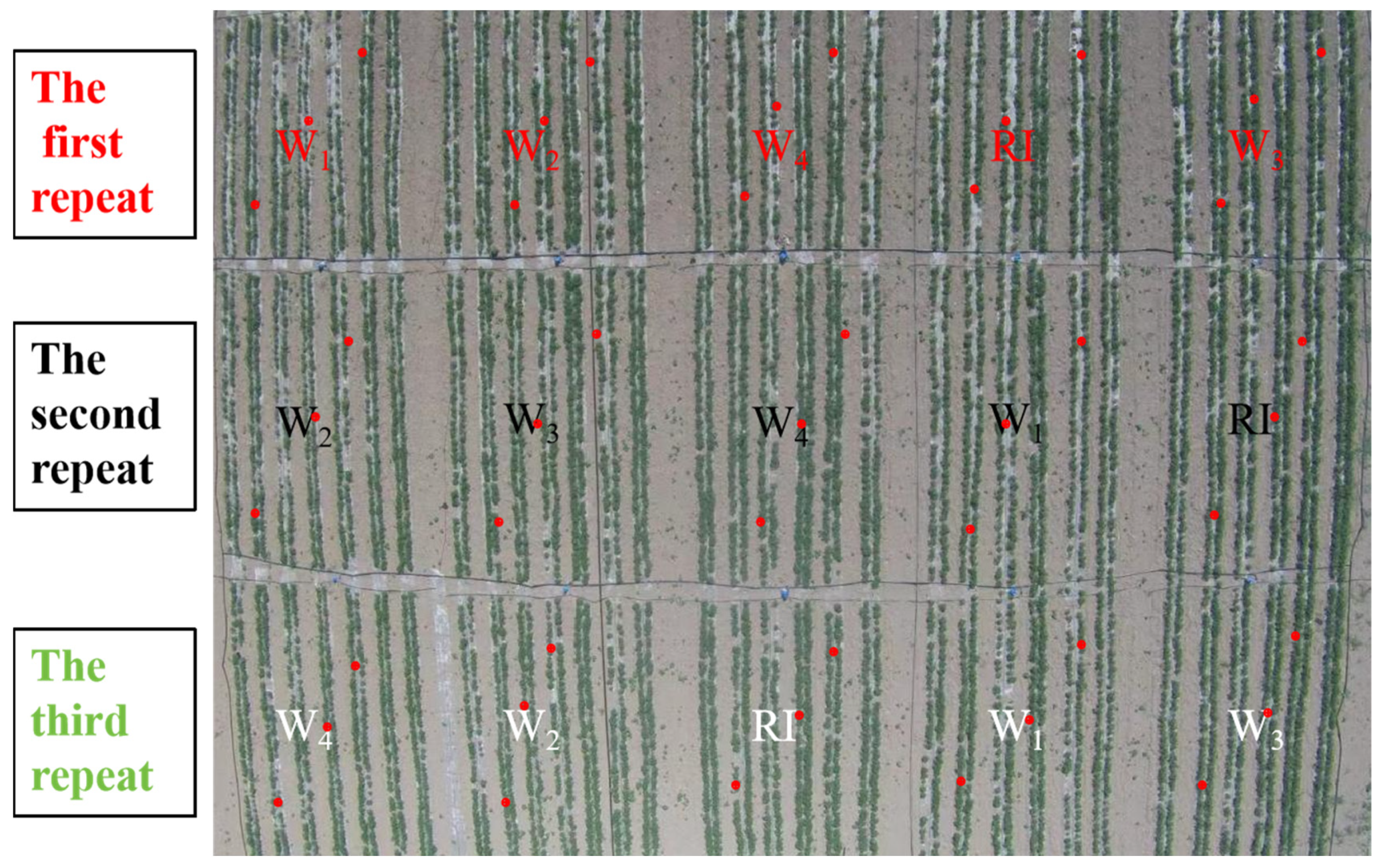 Agronomy 13 02862 g002 Agronomy 13 02862 g002