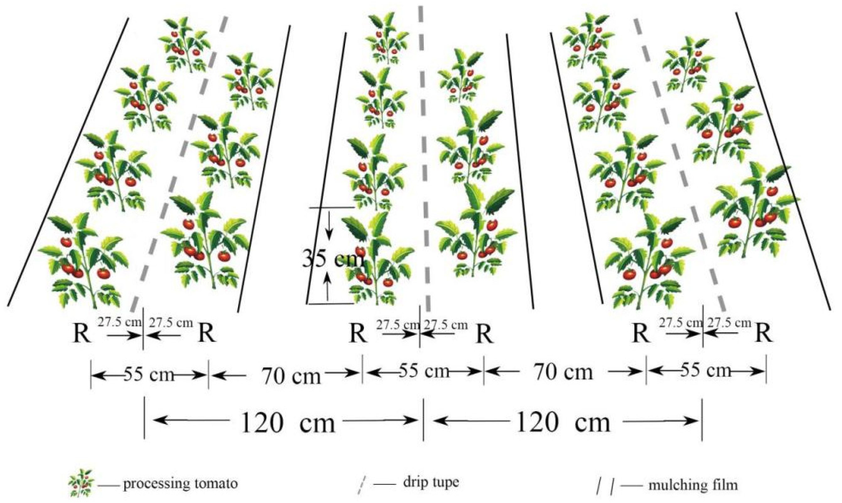 Agronomy 13 02862 g003 Agronomy 13 02862 g003