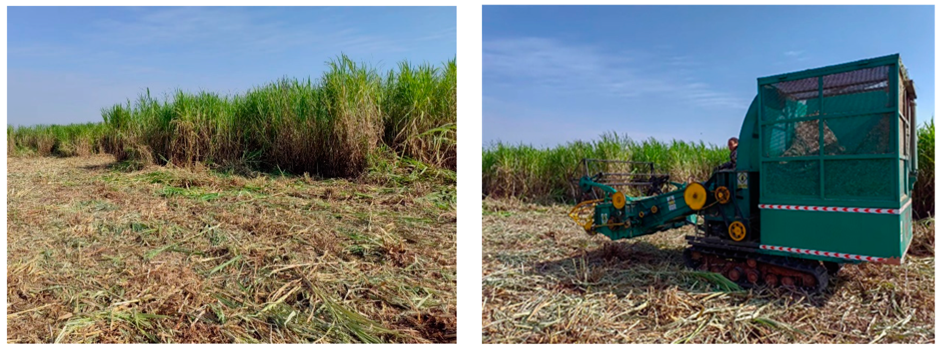 Agronomy 13 02874 g006 Agronomy 13 02874 g006