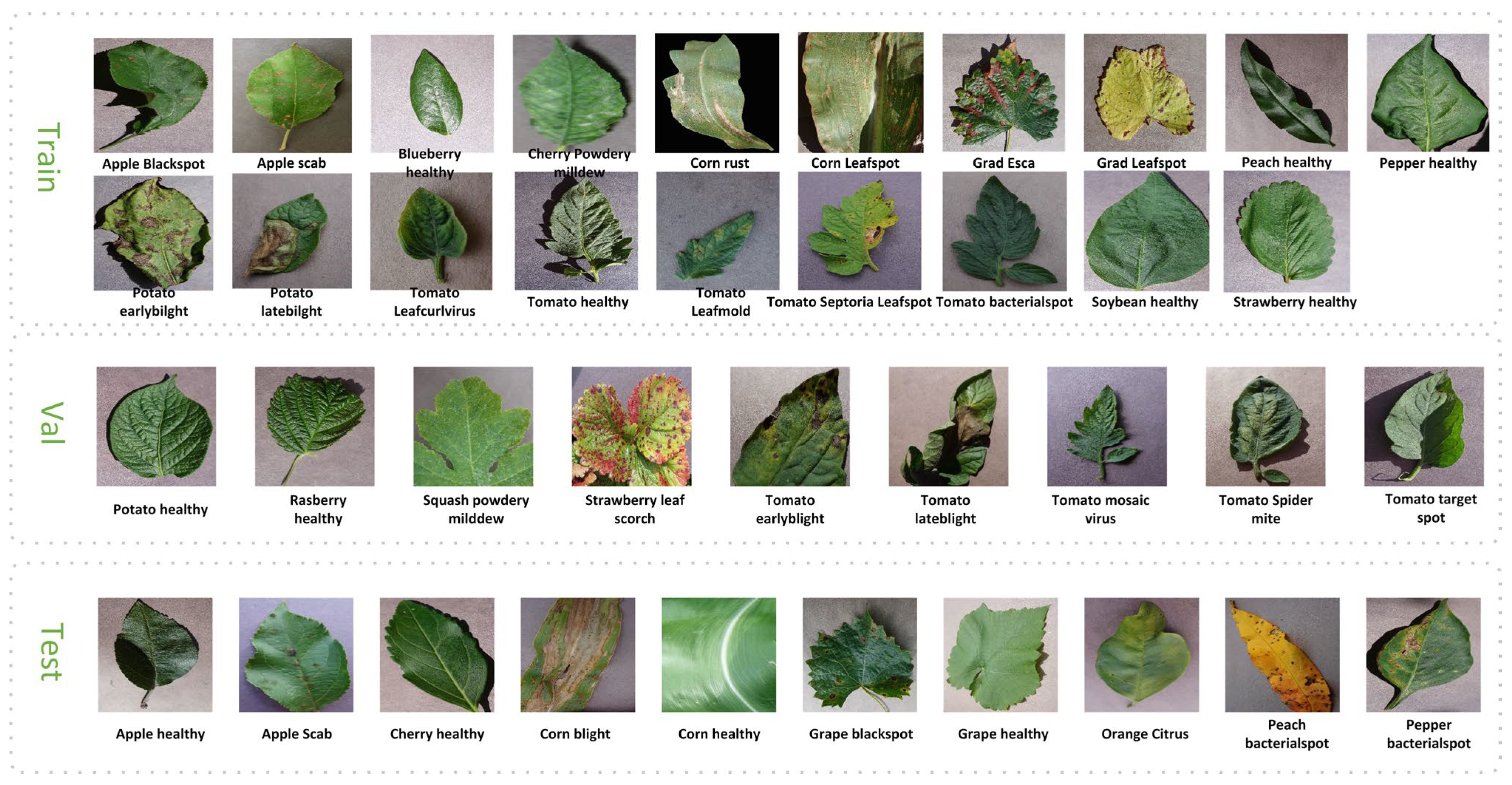Agronomy 13 02876 g006 Agronomy 13 02876 g006