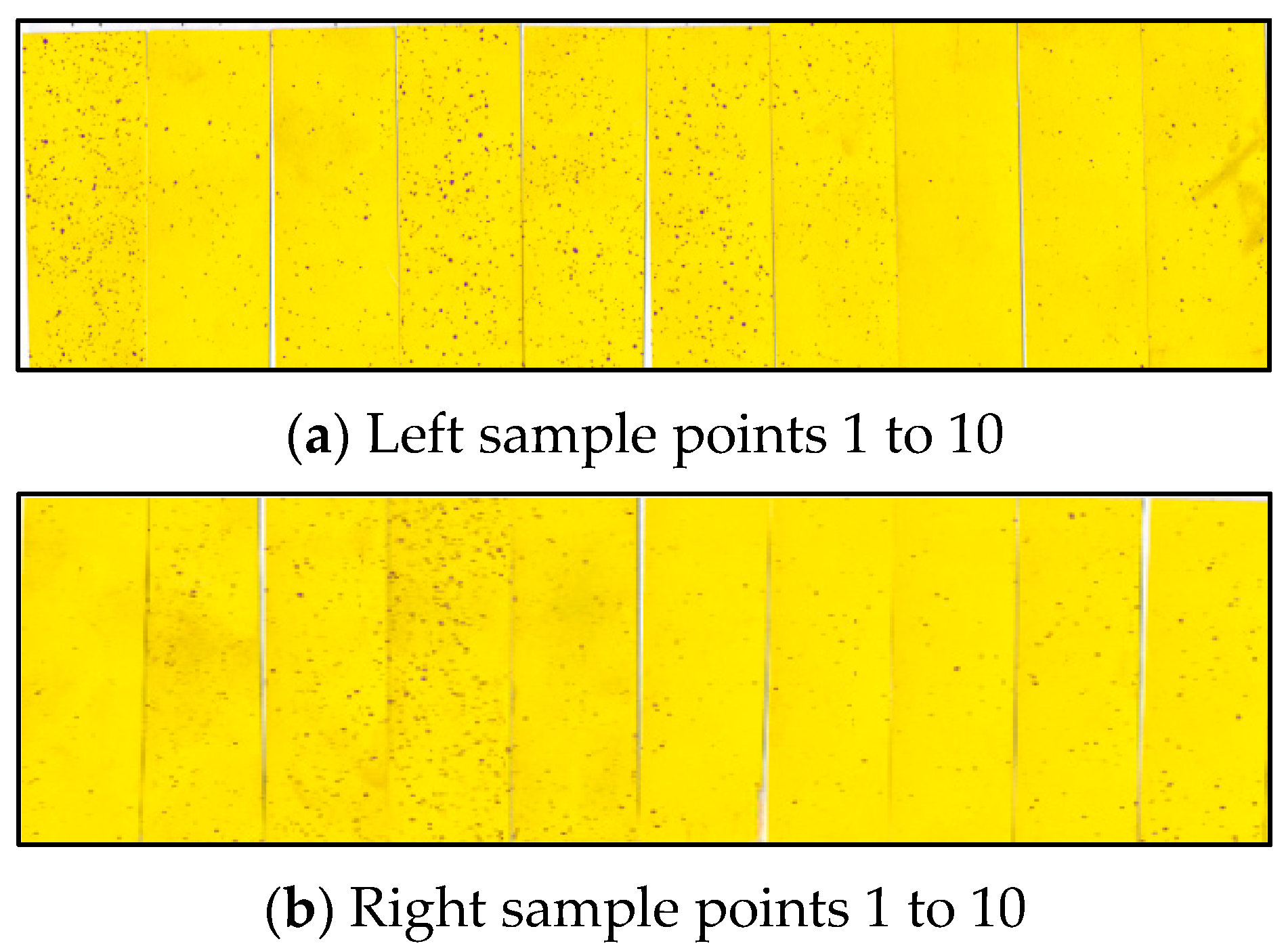 Agronomy 13 02890 g008