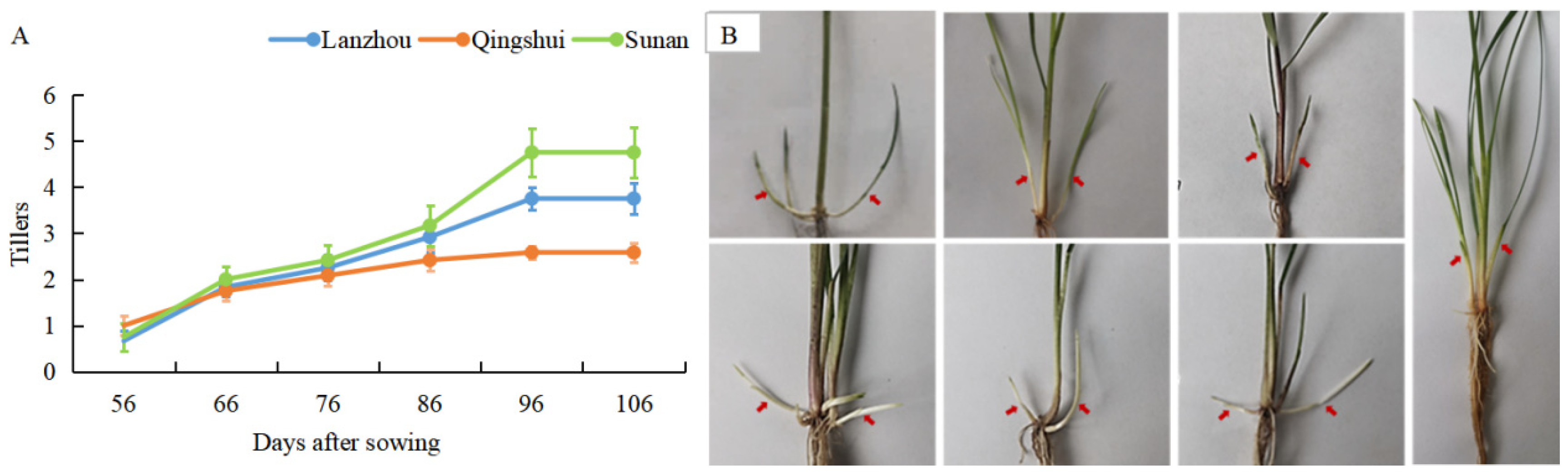 Agronomy 13 02899 g001