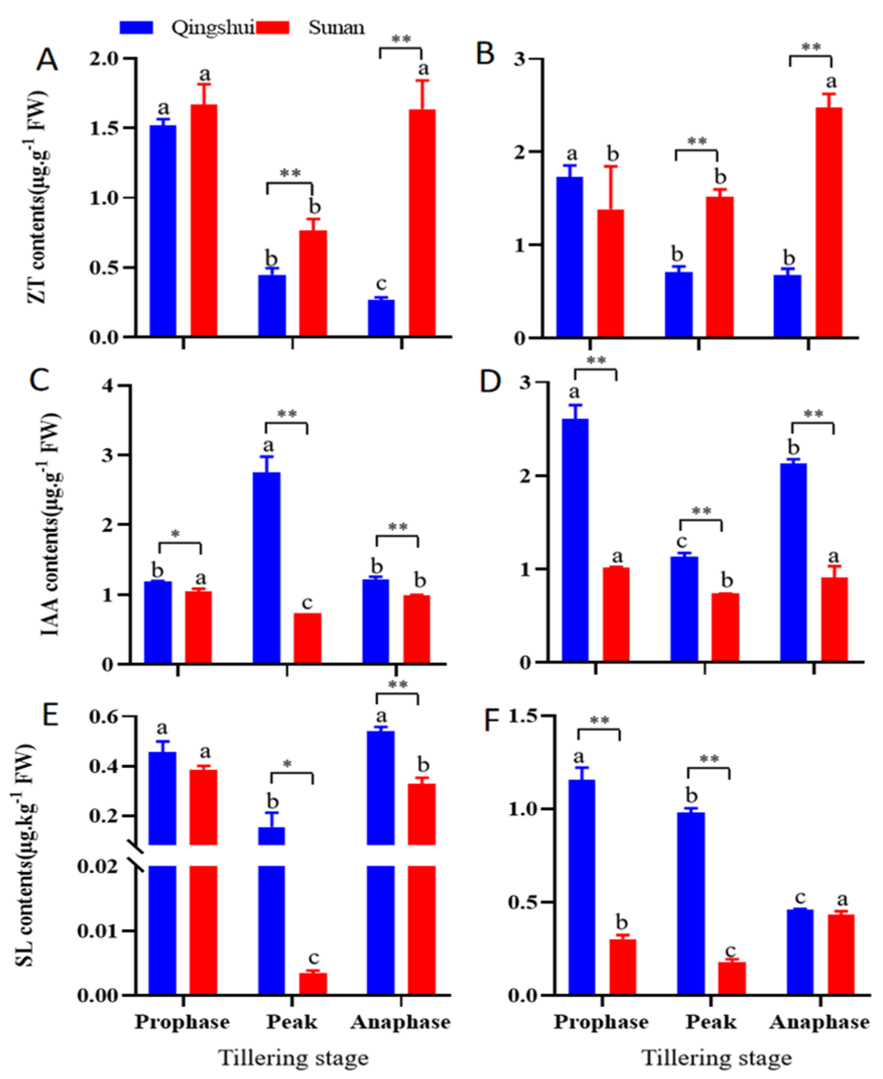 Agronomy 13 02899 g003