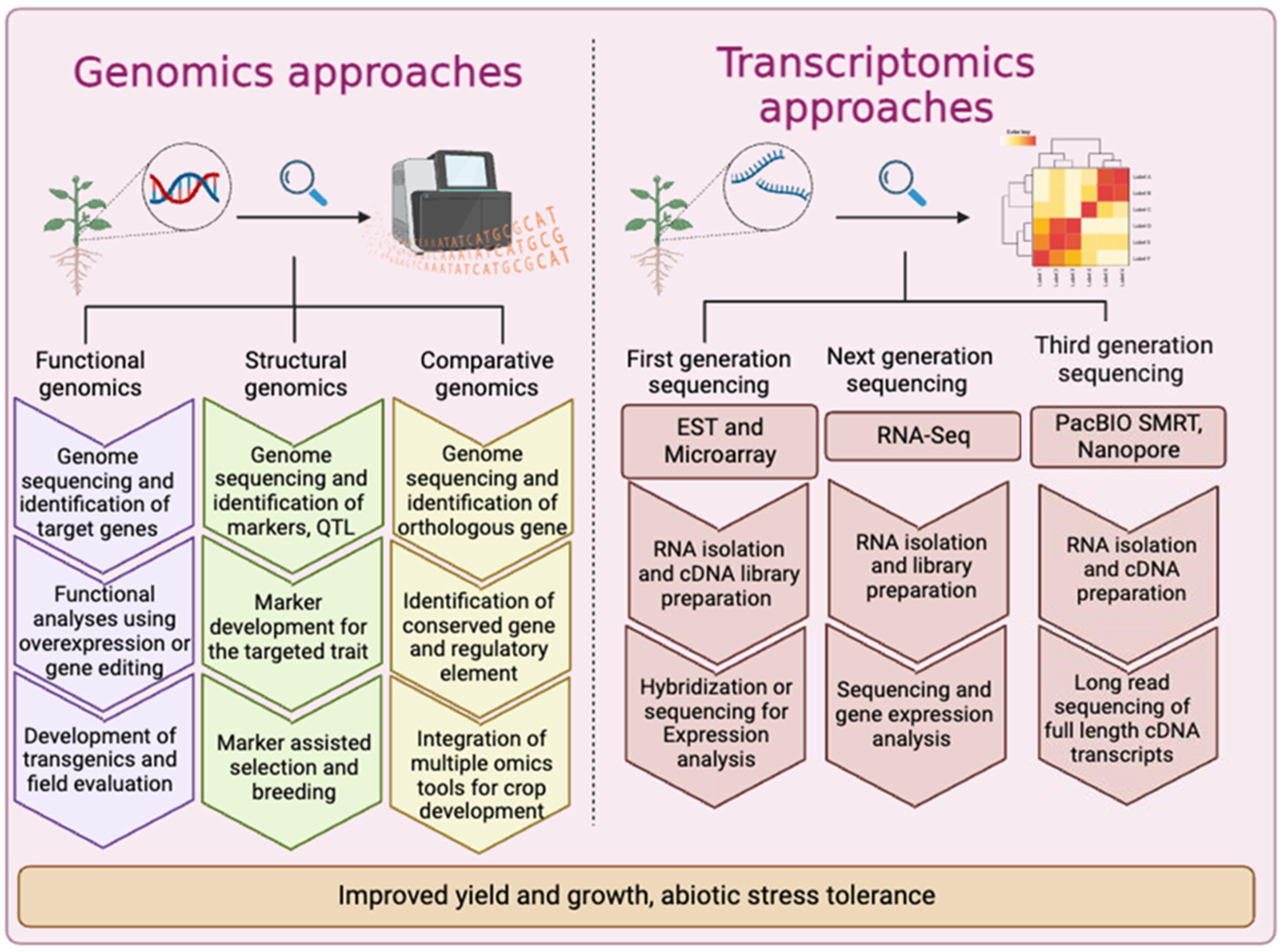 Agronomy 13 02903 g001