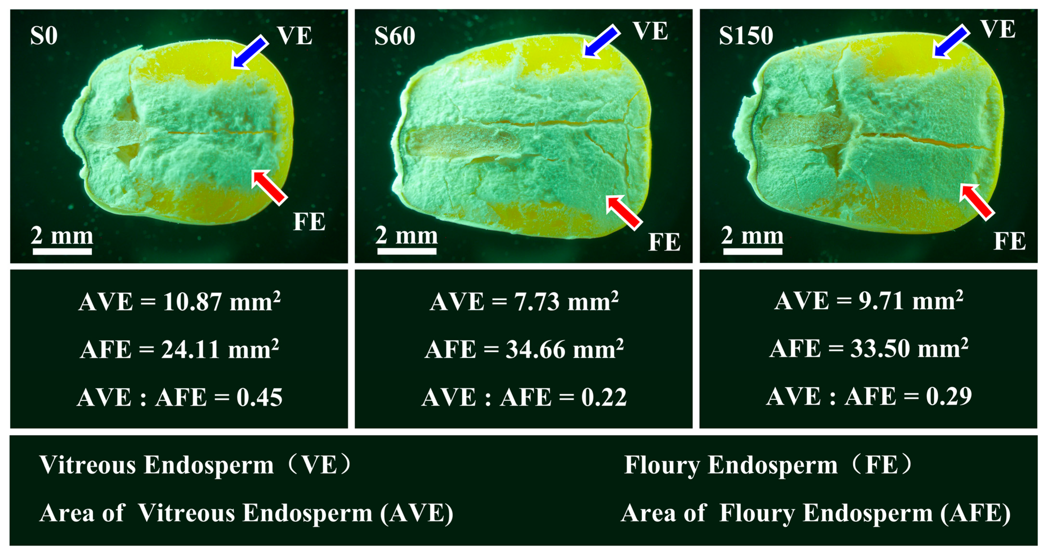 Agronomy 13 02912 g003