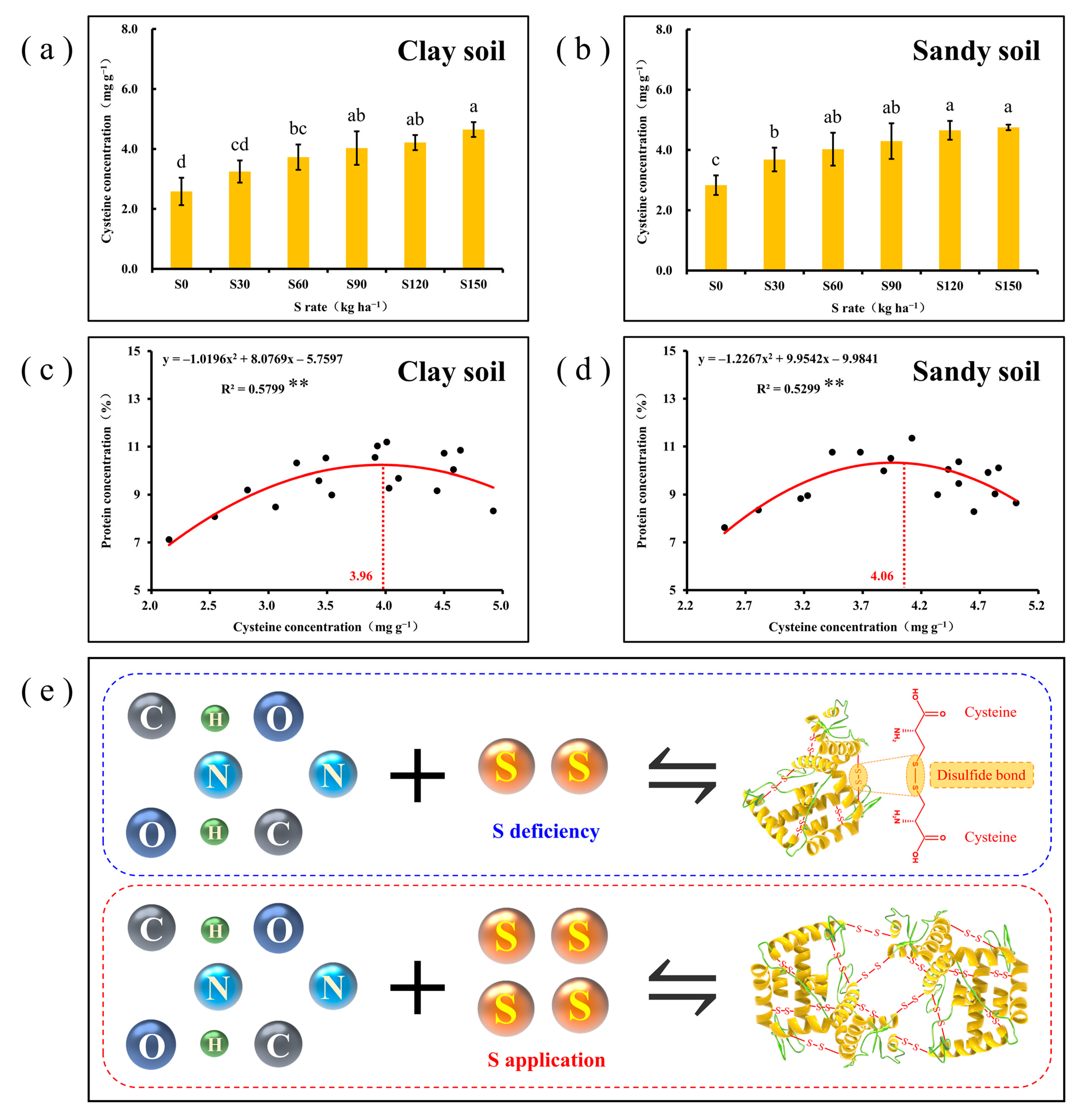 Agronomy 13 02912 g004